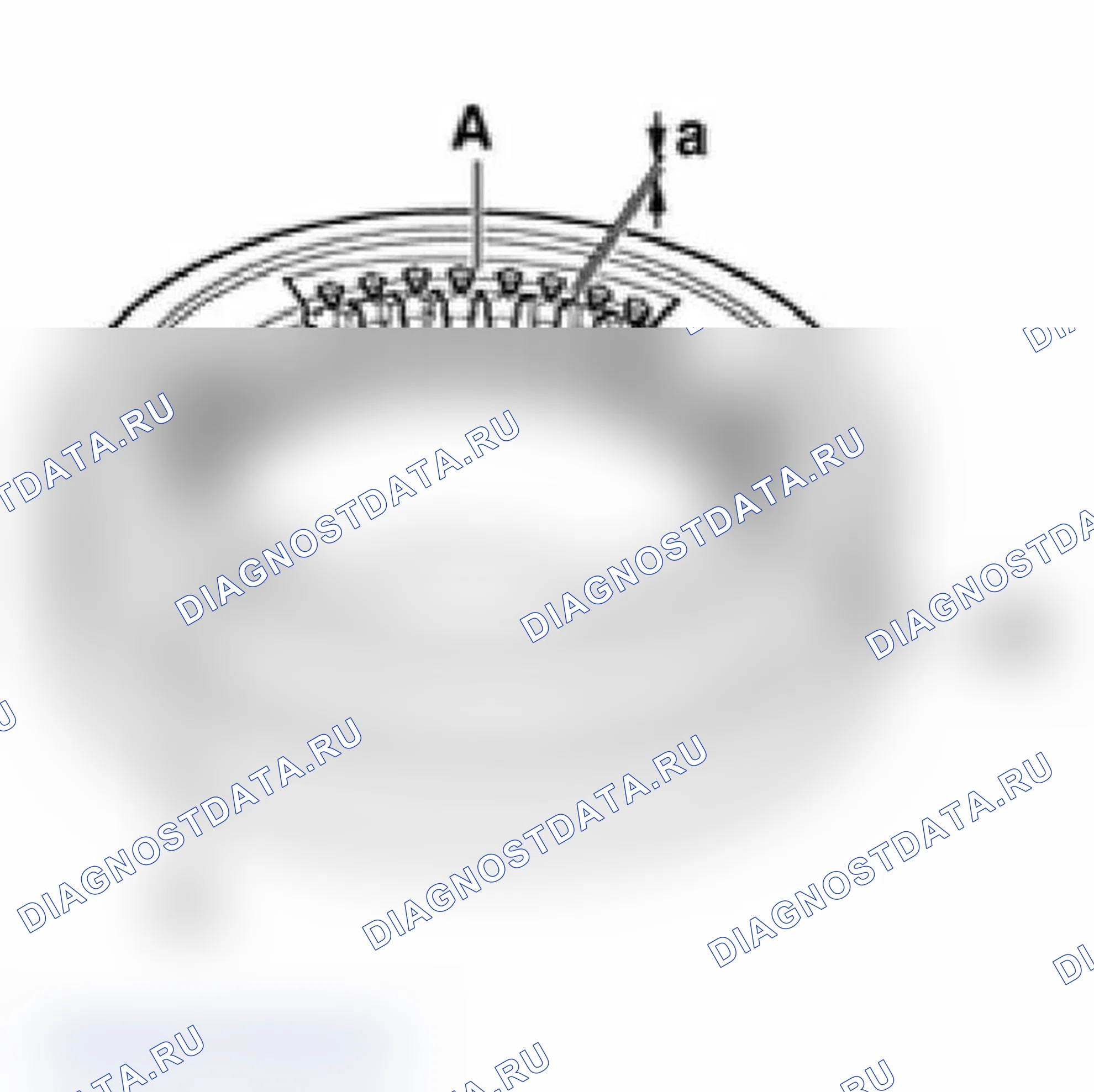 Рис. 83. Audi A6 C5 рестайлинг
