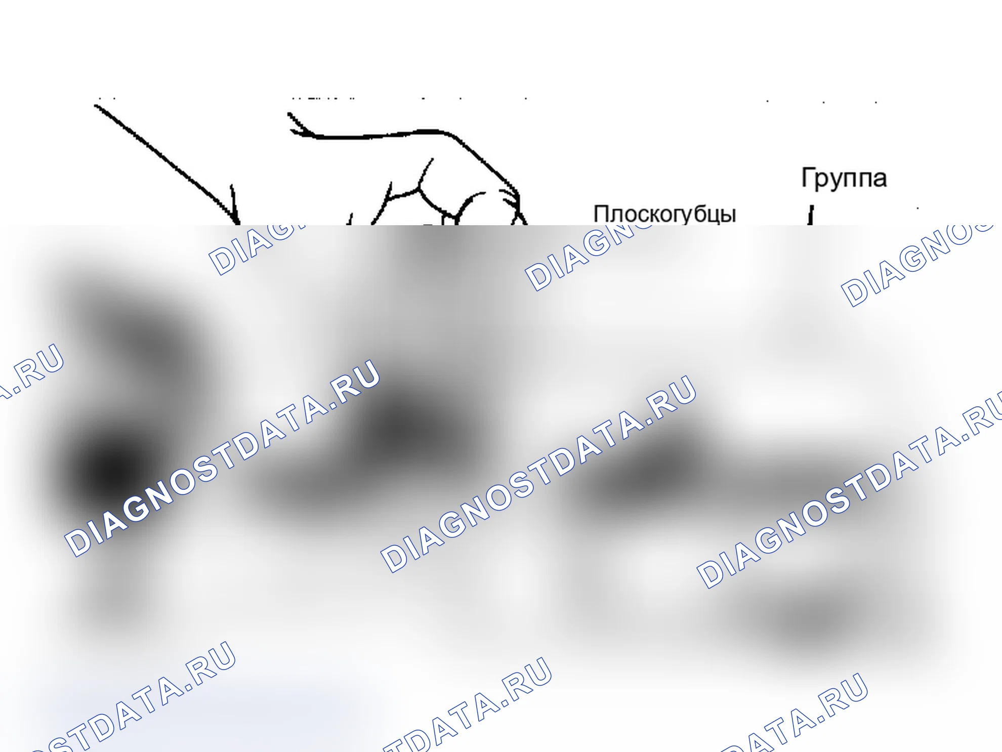 Рис. 6: Удаление или установка микросхемы памяти Соблюдайте положение для правильной переустановки.. Chrysler New Yorker XII
