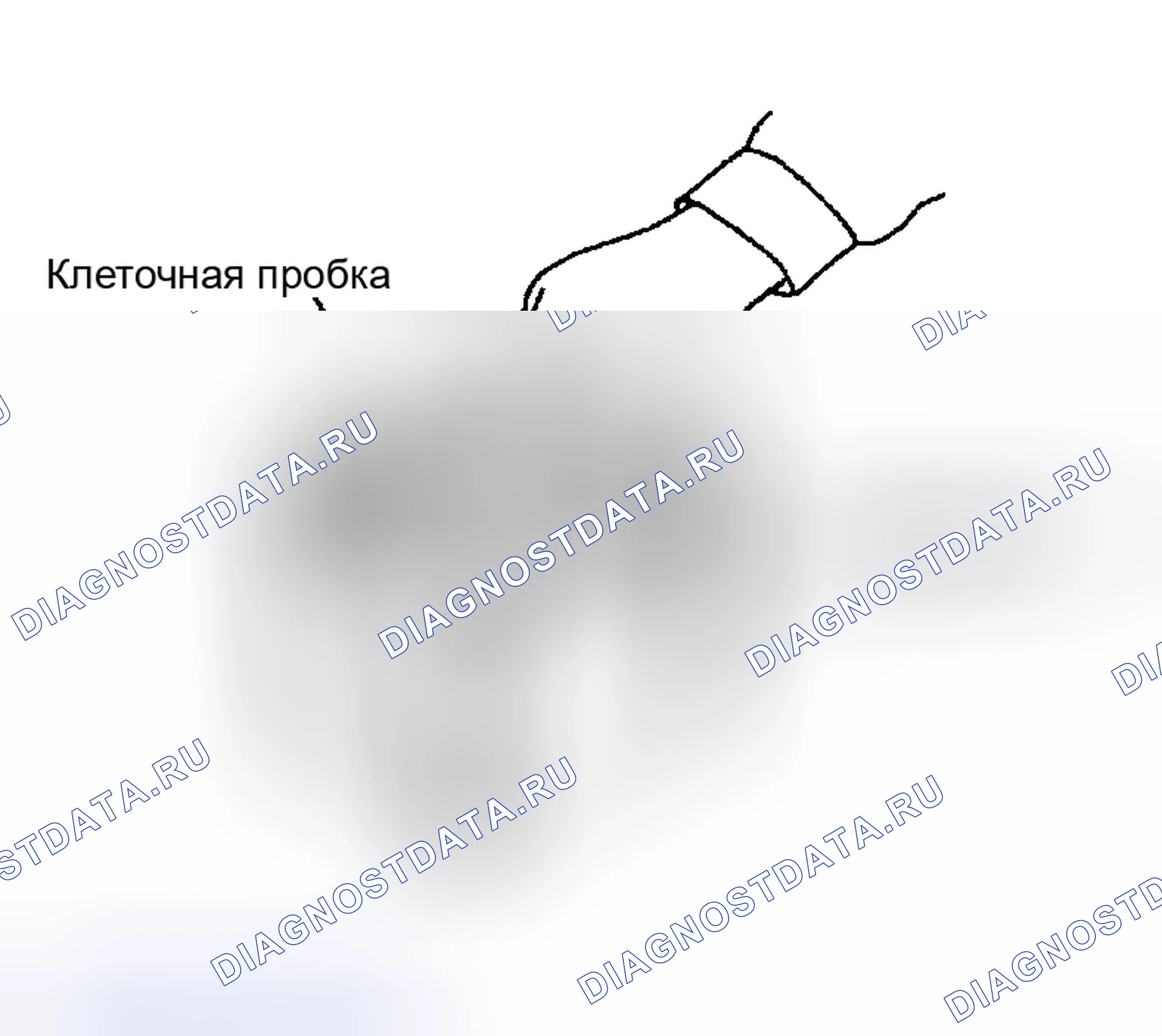 Рис. 15. Nissan Sentra B15