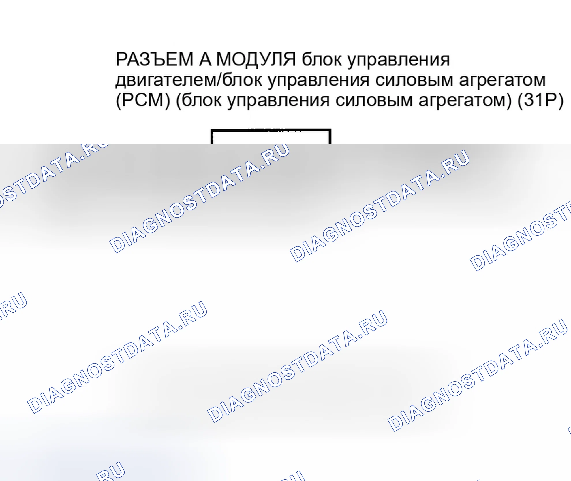 Рис. 60. Honda Element YH2