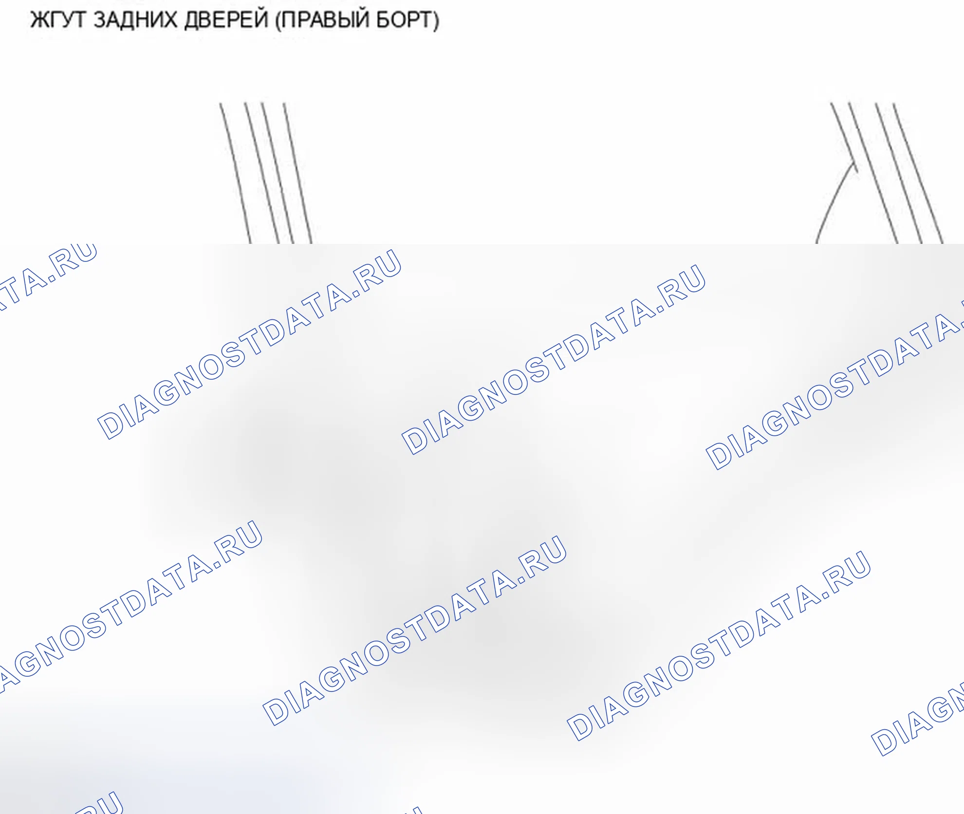 Рис. 58: ЖГУТ ЗАДНИХ ДВЕРЕЙ (ПРАВЫЙ БОРТ). Infiniti FX35 II рестайлинг
