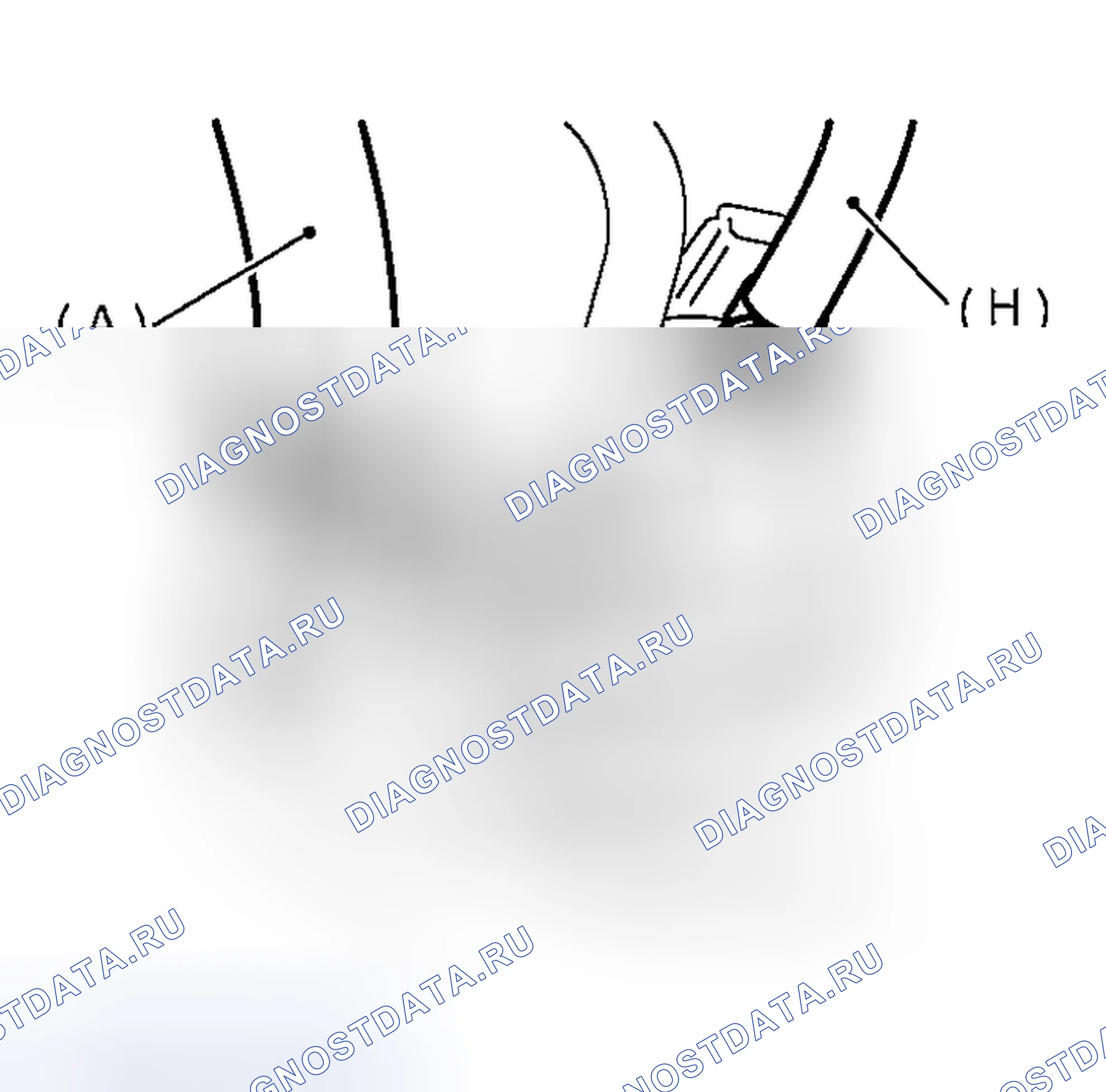 Рис. 889. Subaru Outback BP