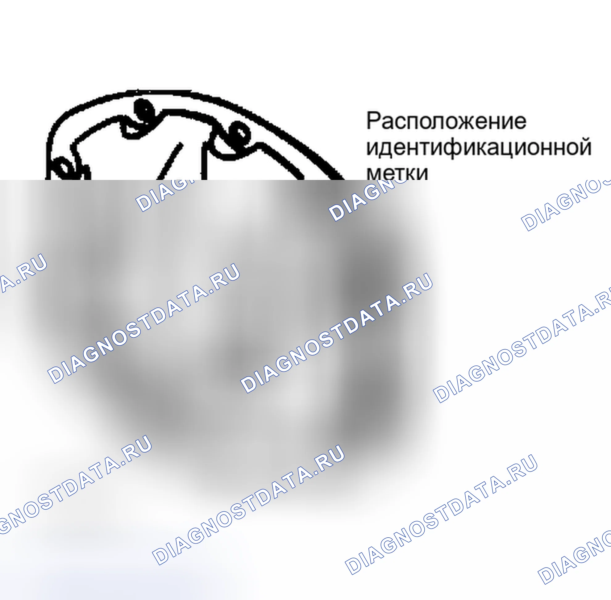 Рис. 11: Идентификационная бирка передней оси AMC. AMC Eagle I