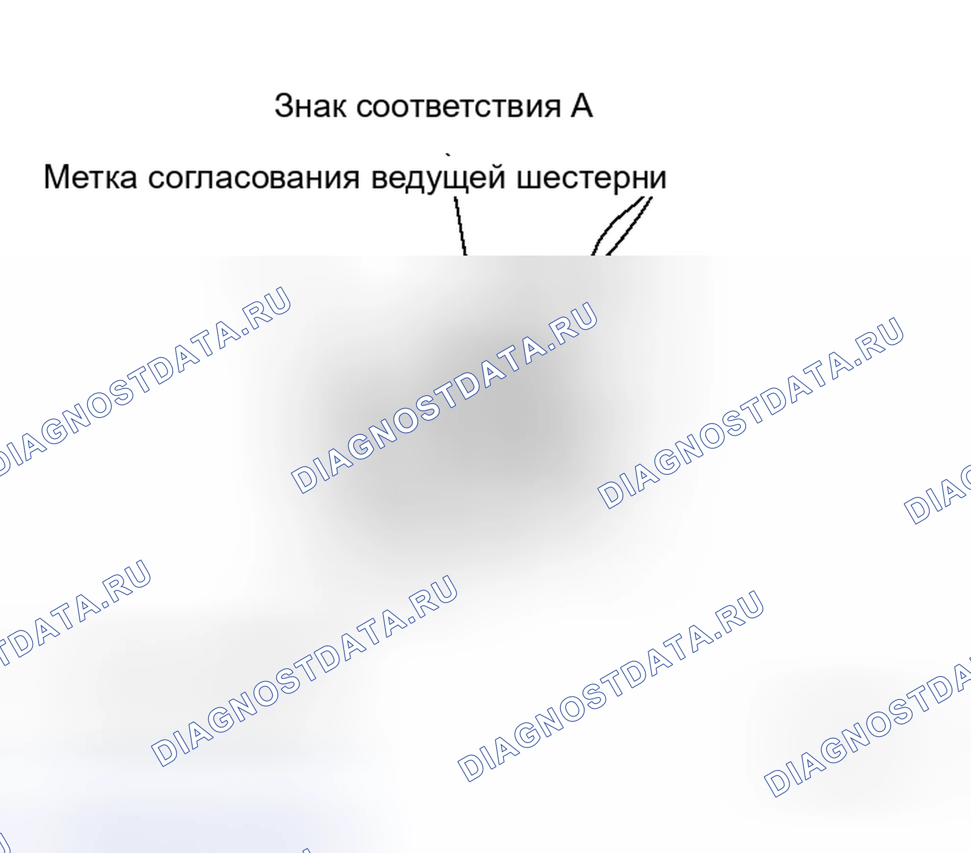 Рис. 256. Honda Odyssey I
