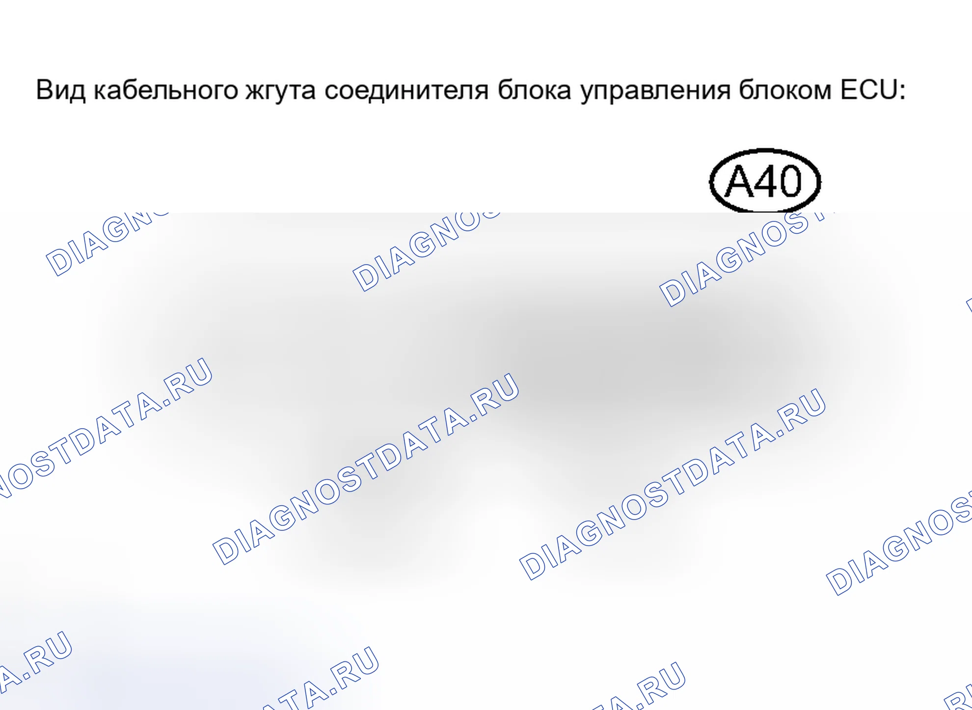 Рис. 10. Toyota Avalon XX30