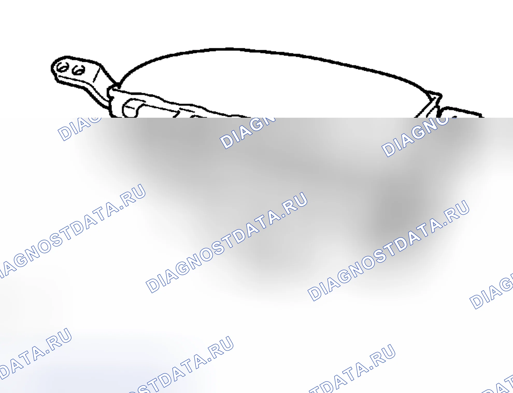 Рис. 528. Lexus RX II