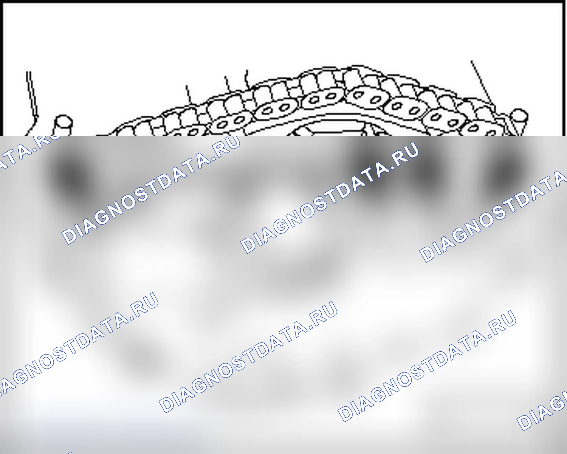 Рис. 58. Volkswagen New Beetle A4