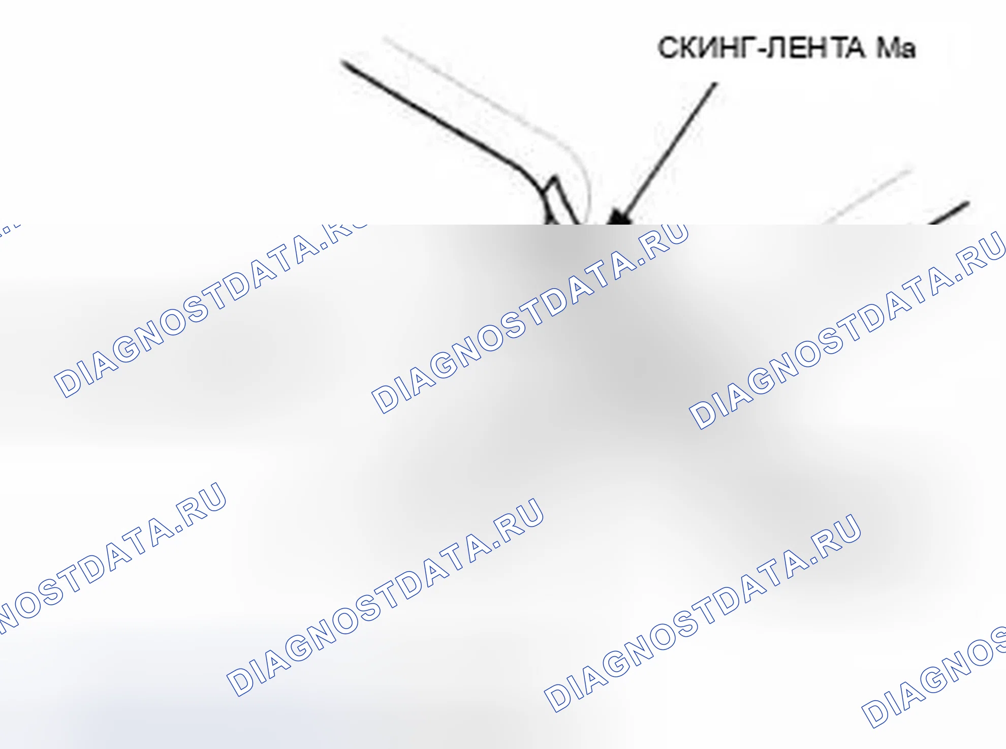 Рис. 348. Honda Civic IX