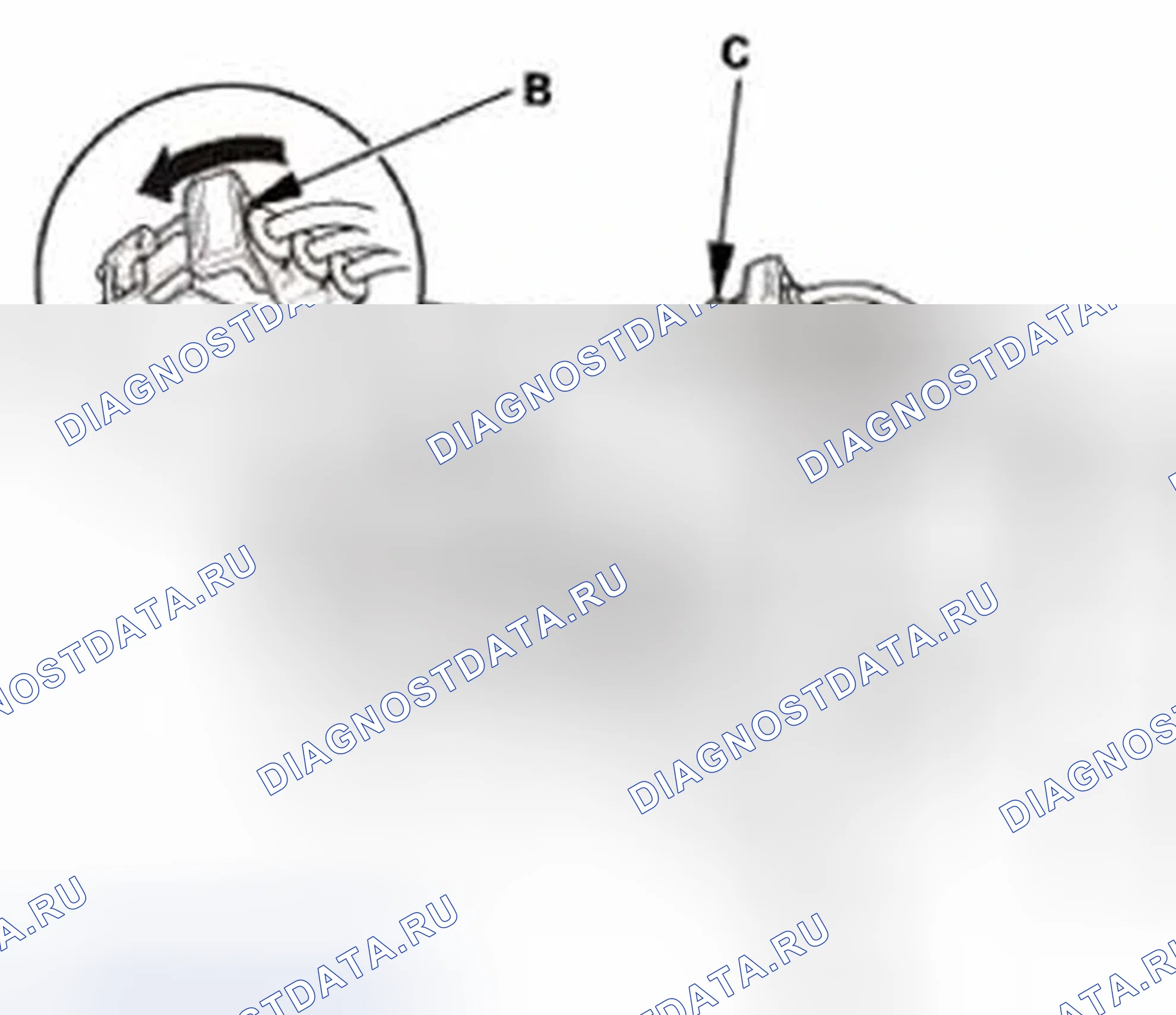 Рис. 246. Honda CR-V IV