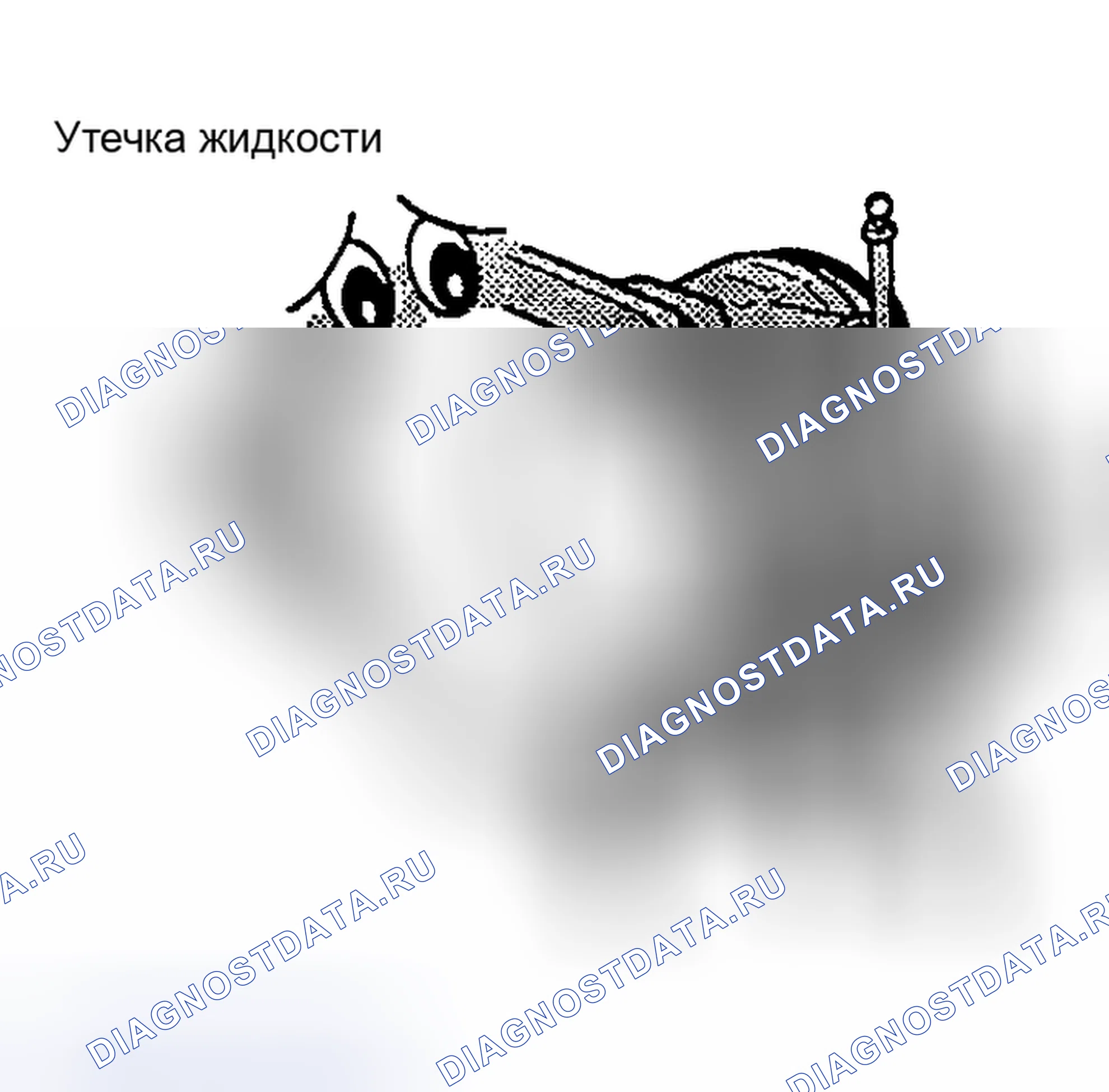 Рис. 1142. Nissan Sentra B15
