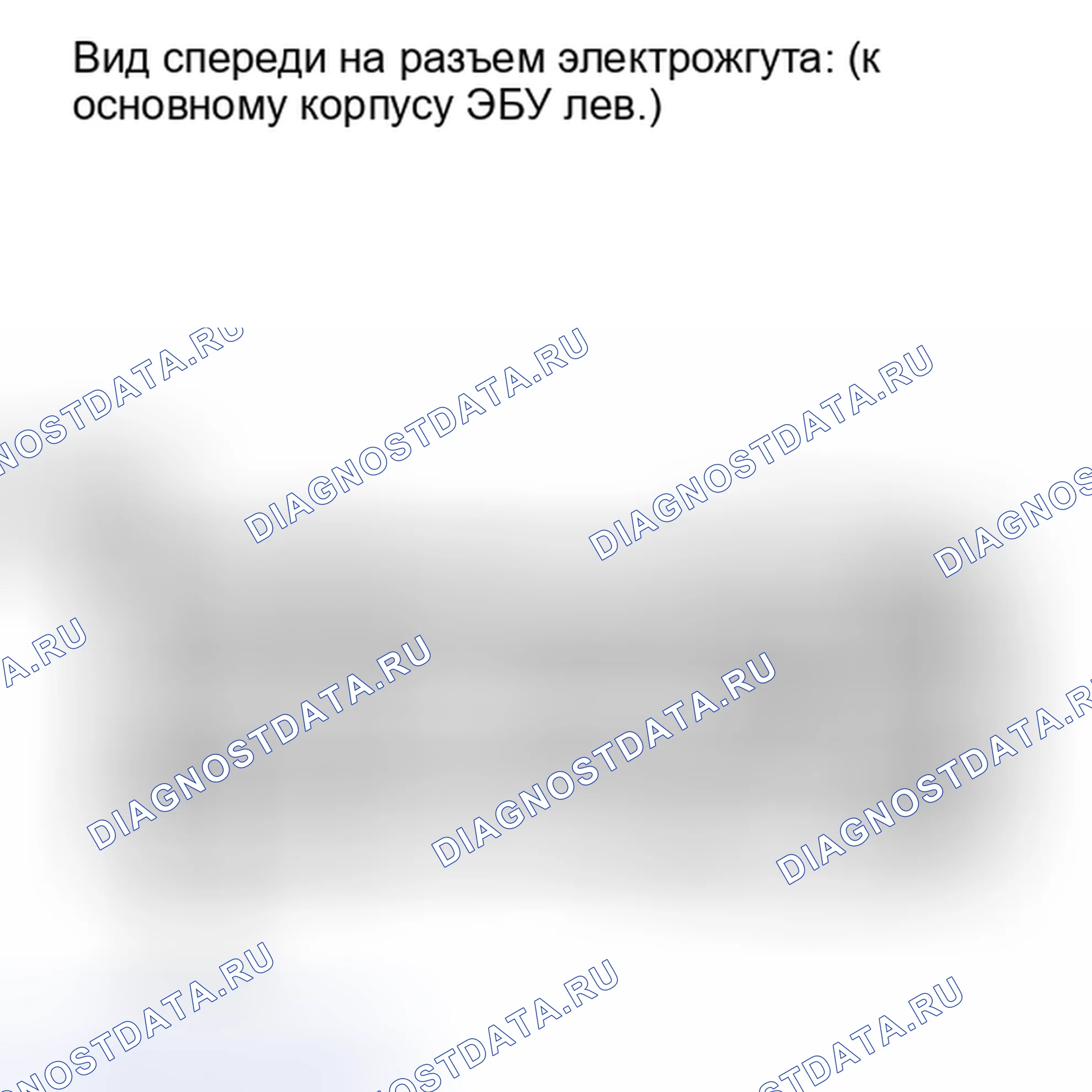 Рис. 219. Lexus IS F I