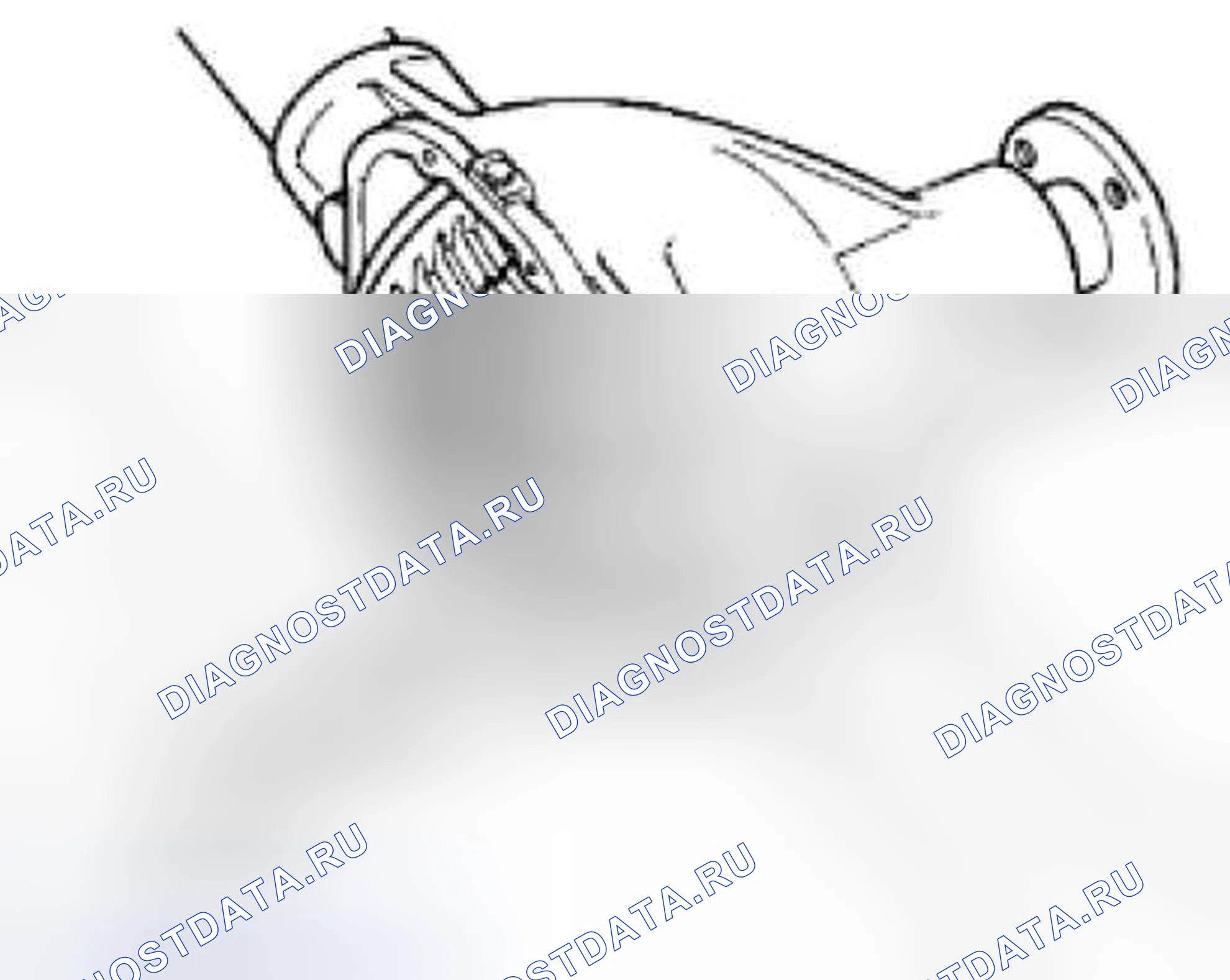 Рис. 224. Suzuki Equator I