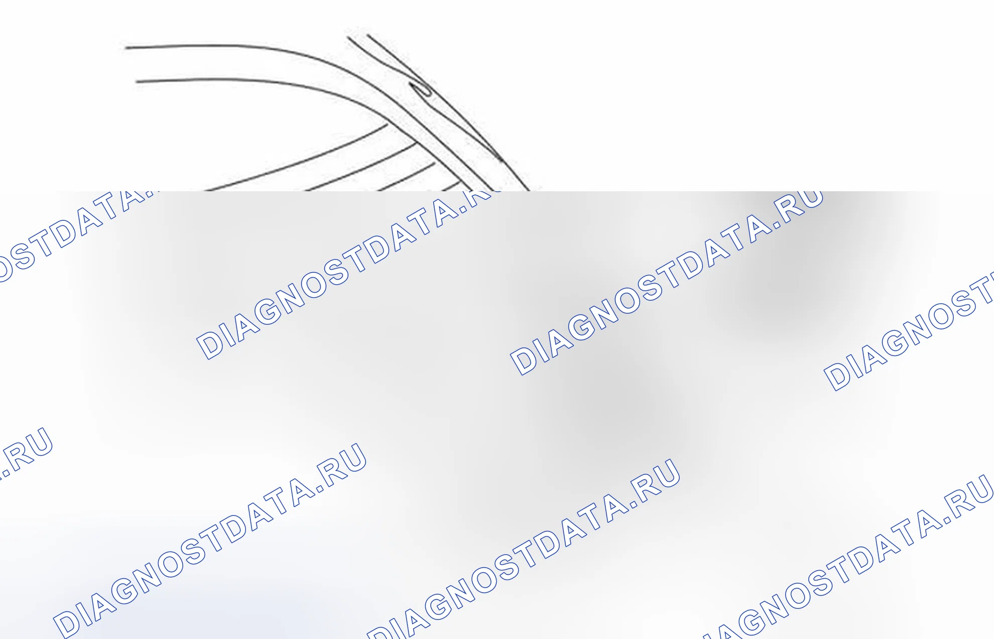 Рис. 80. Jaguar XKR I рестайлинг