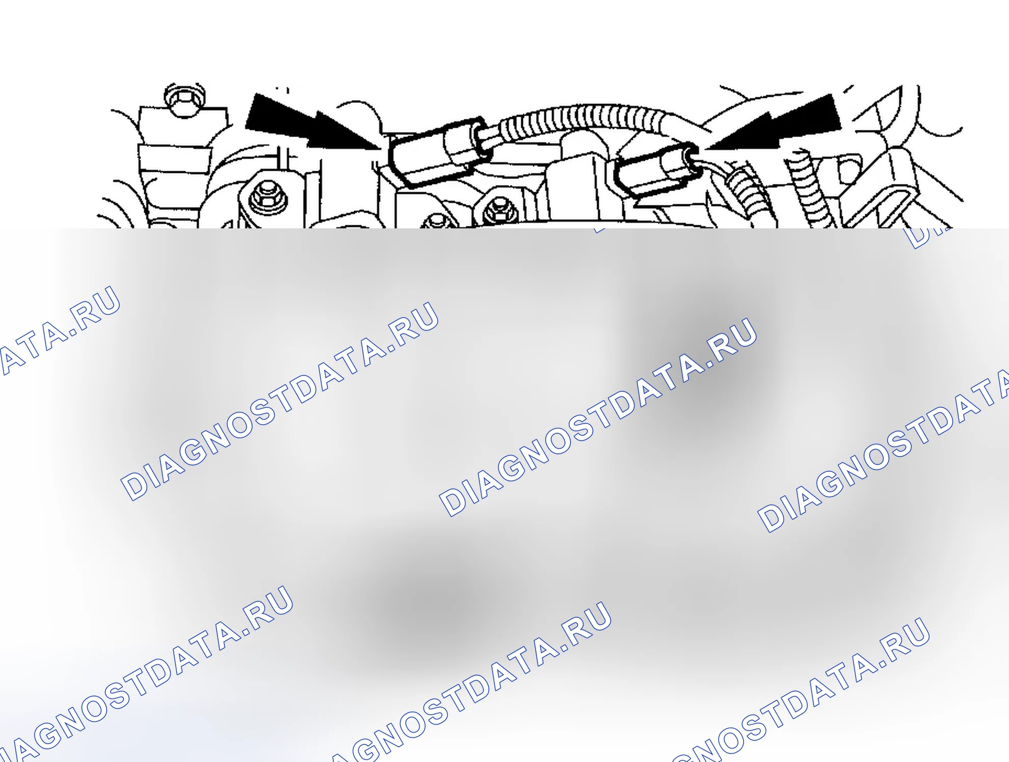 Рис. 1388. Ford Focus I рестайлинг