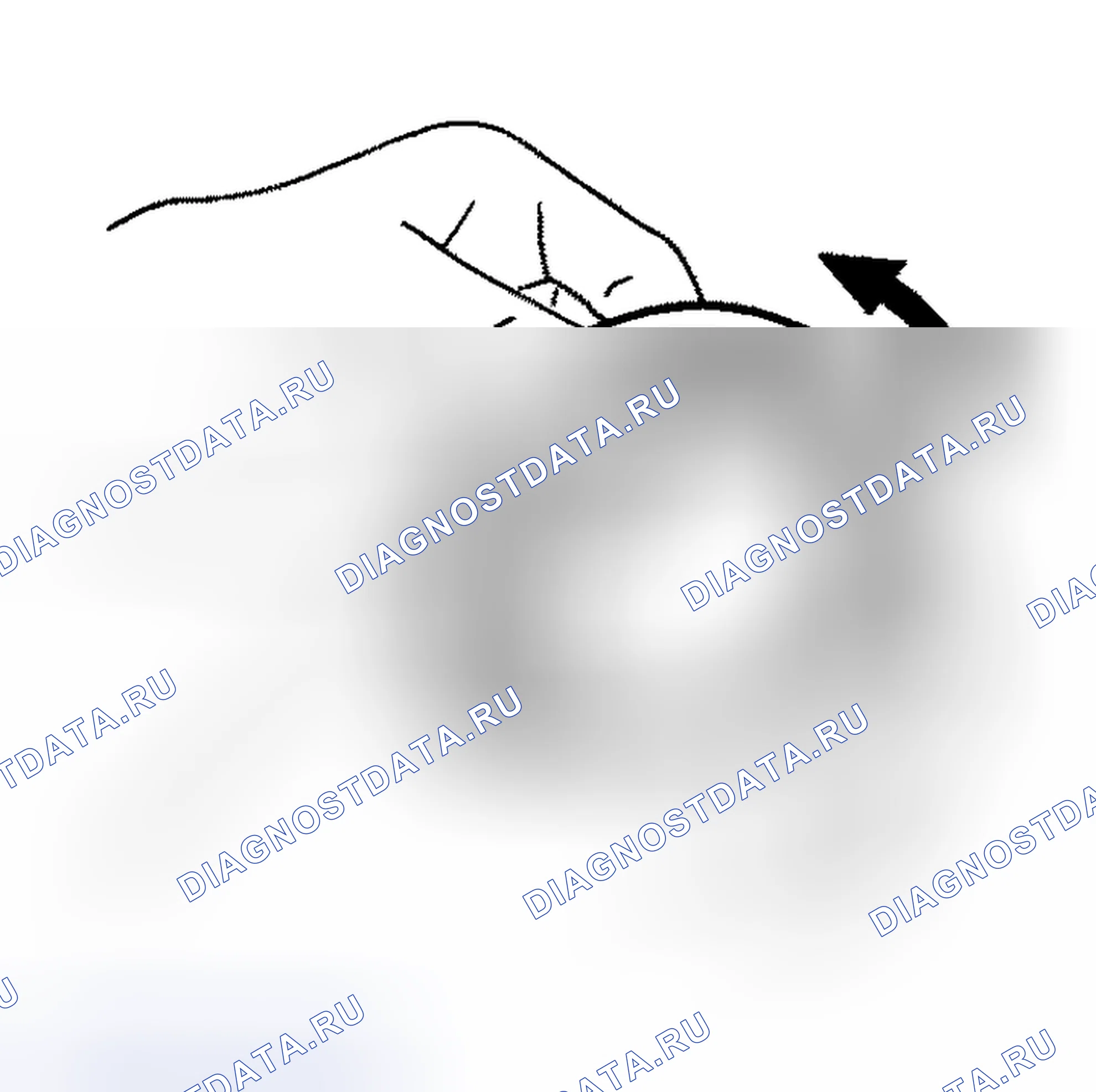 Рис. 192: ПОДШИПНИК. Honda Street I