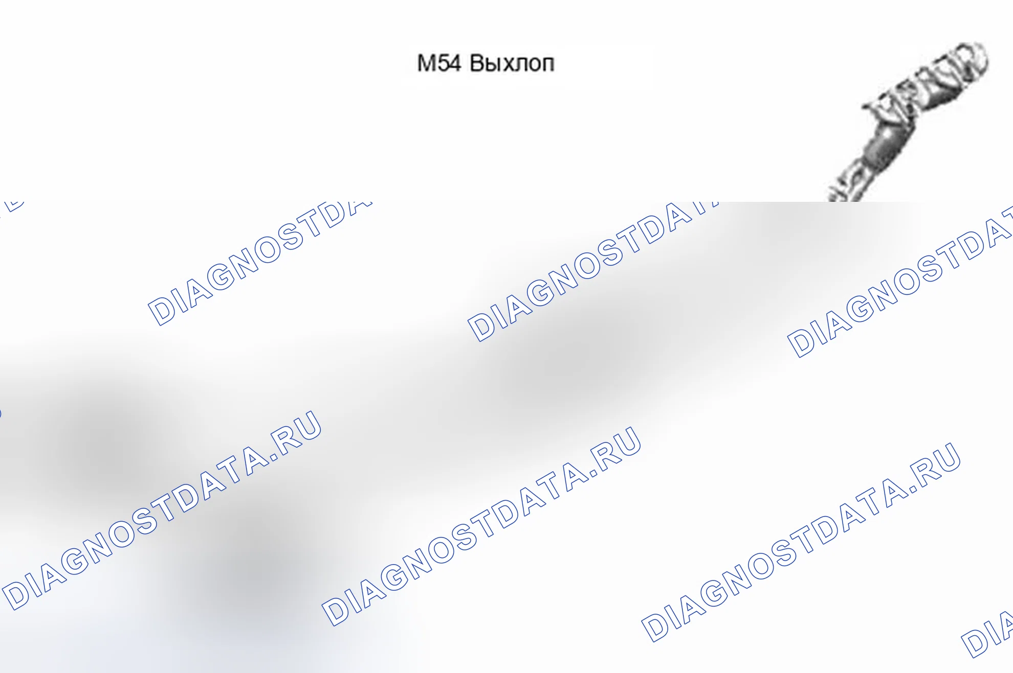 Рис. 212: Идентификация выхлопной системы M54. BMW X5 E53