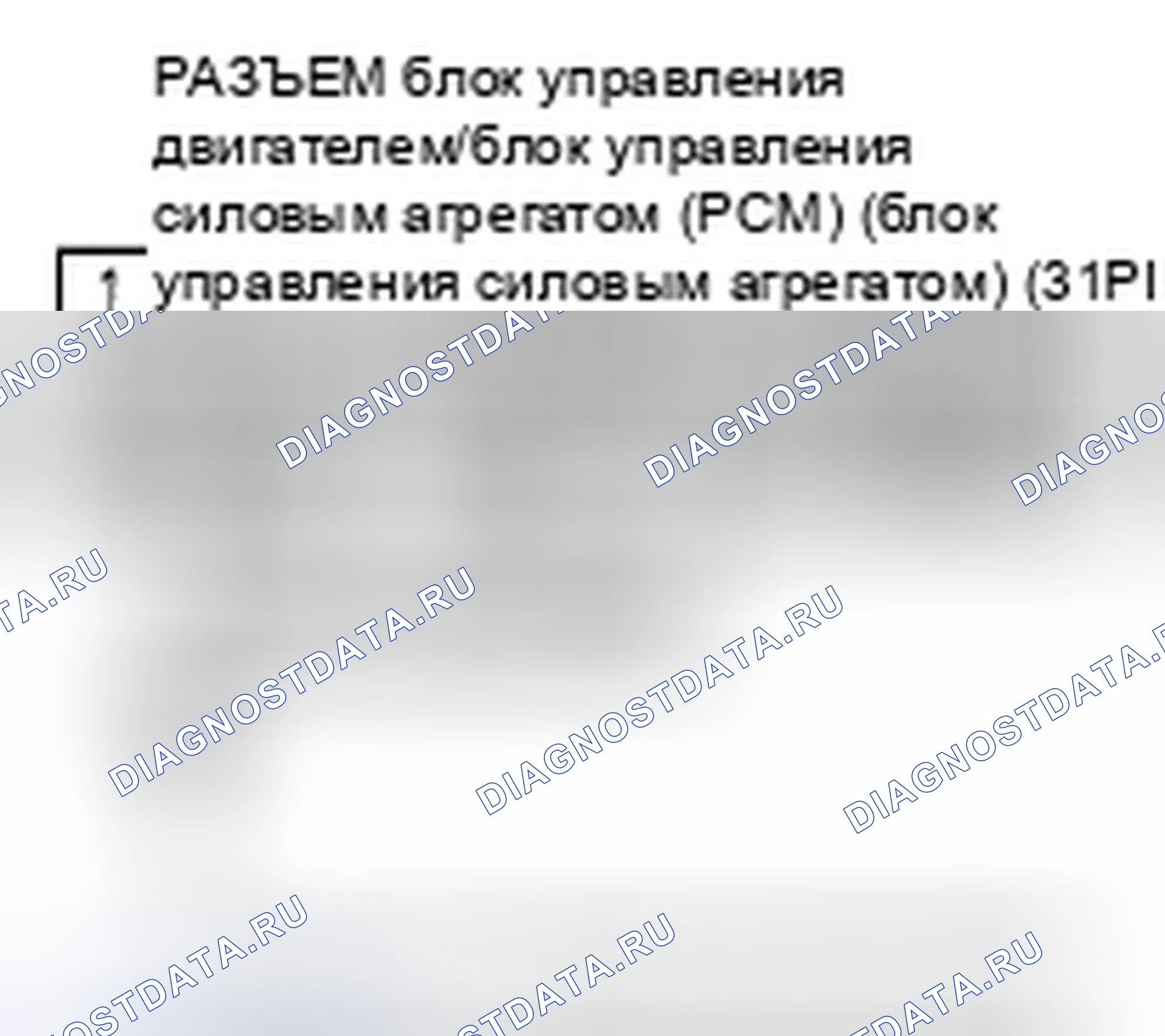 Рис. 523. Honda Element YH2 рестайлинг 2