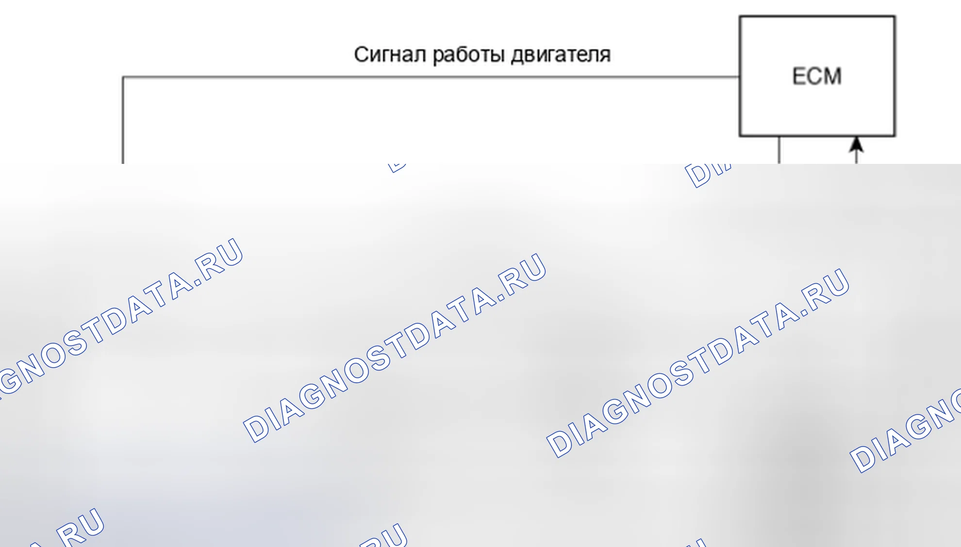 Рис. 116: Принципиальная схема. Kia Magentis II рестайлинг