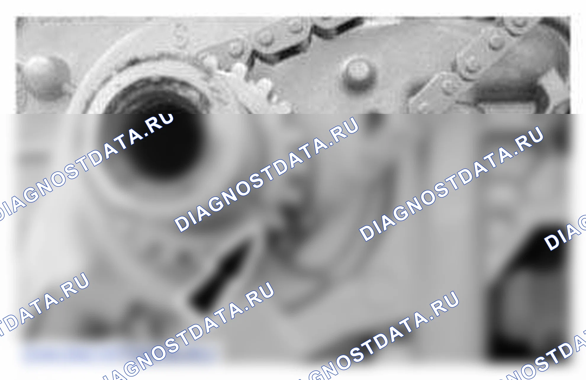 Рис. 1239. Ford Mustang V рестайлинг