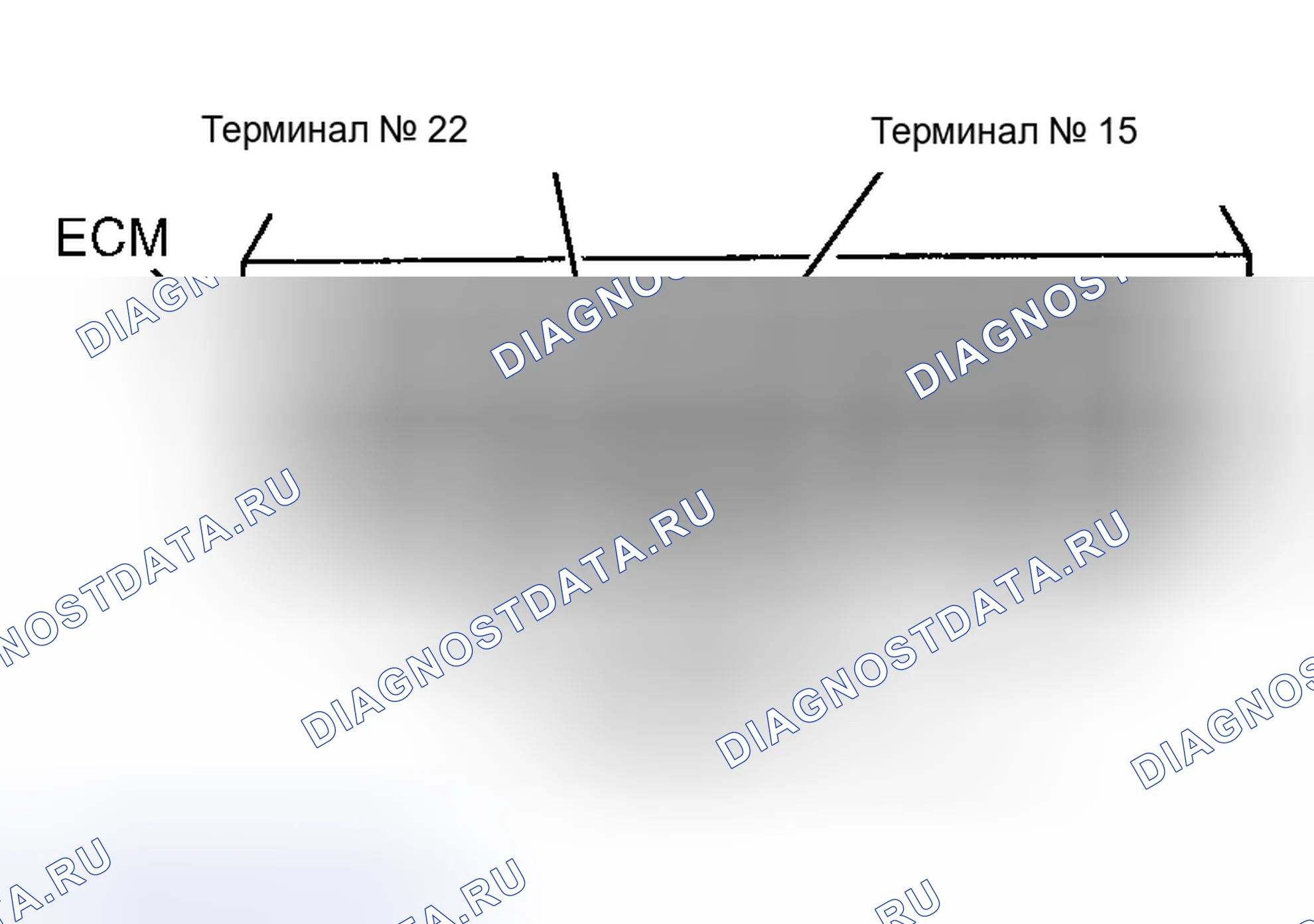 Рис. 113. Toyota Tacoma I