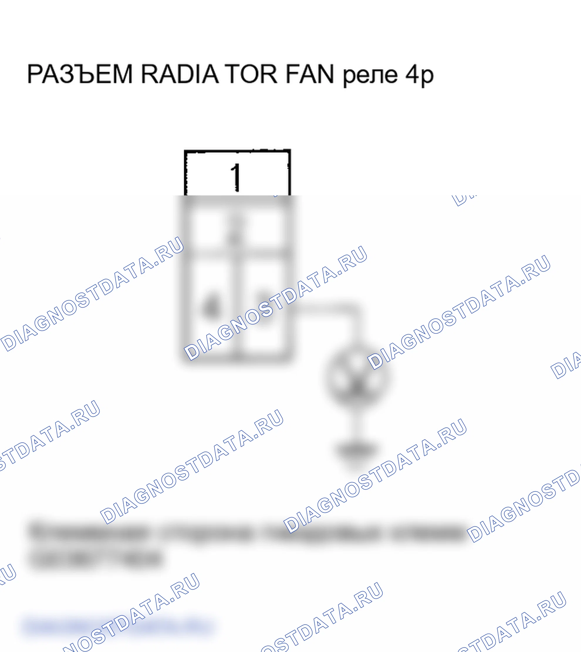 Рис. 5. Honda Element YH2