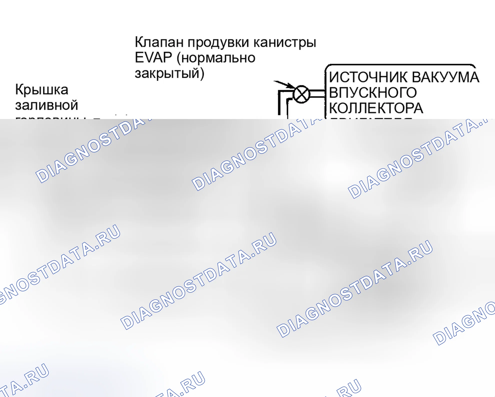 Рис. 109: Идентификация компонентов системы EVAP. Ford Explorer II