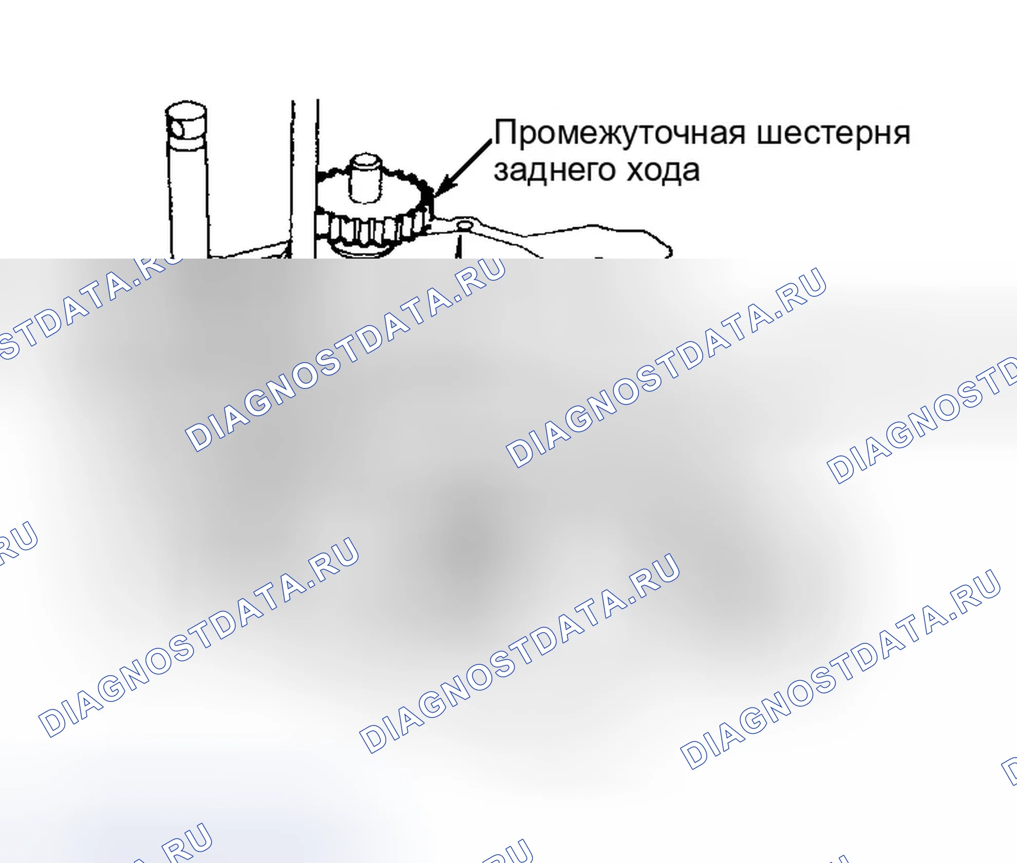 Рис. 50. Ford Focus I