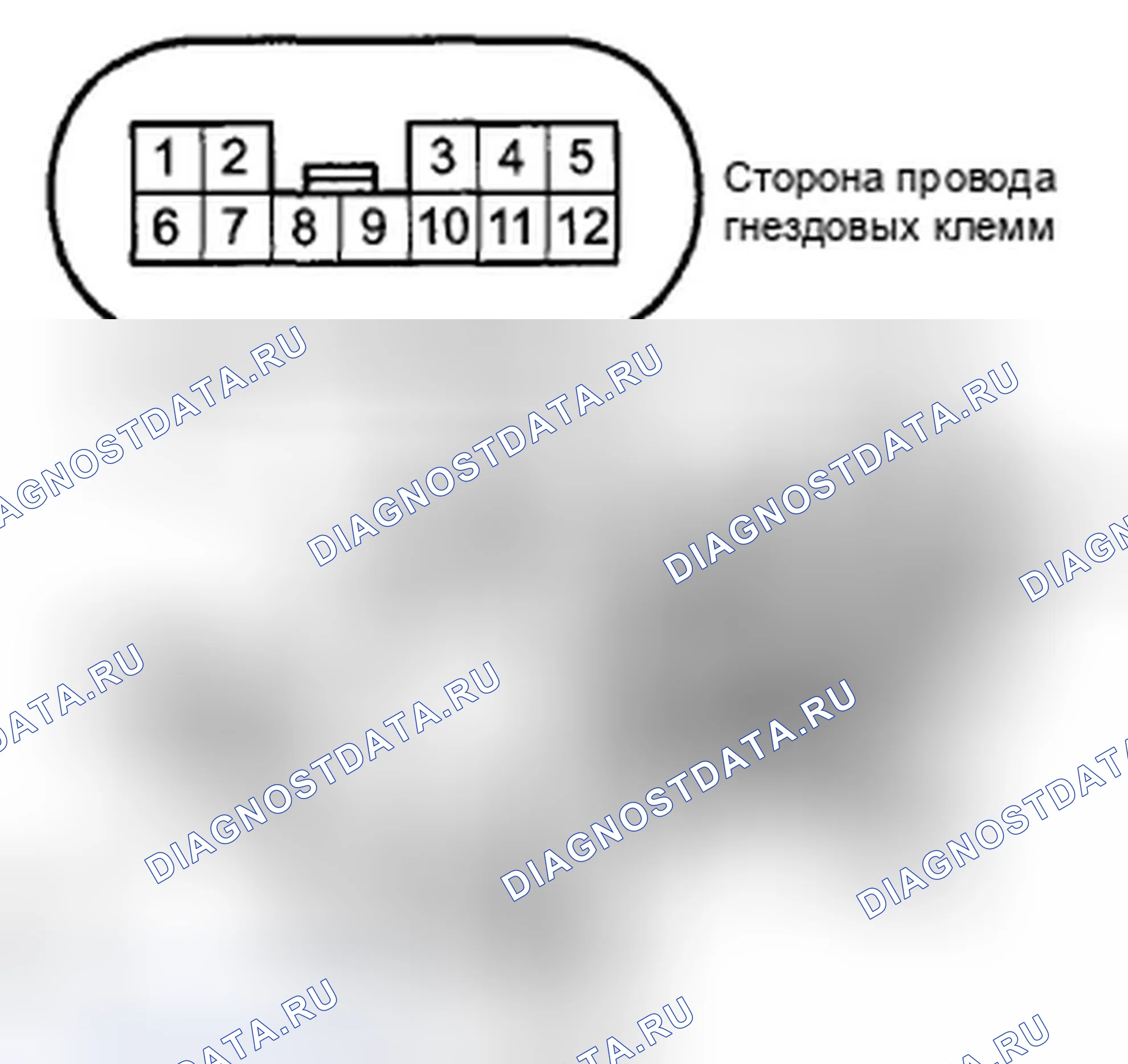 Рис. 573: Испытание двигателя сиденья с электроприводом переднего пассажира. Honda Accord VIII