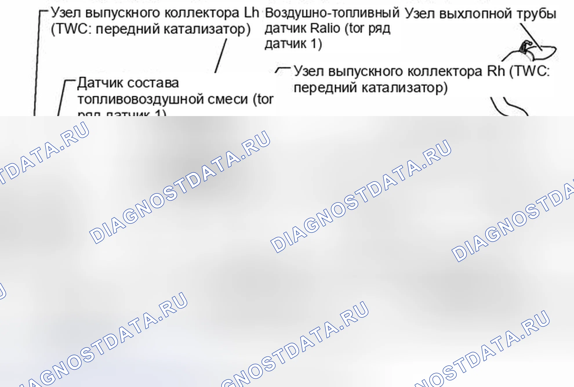 Рис. 454: РАСПОЛОЖЕНИЕ КАТАЛИЗАТОРА. Toyota RAV4 III рестайлинг