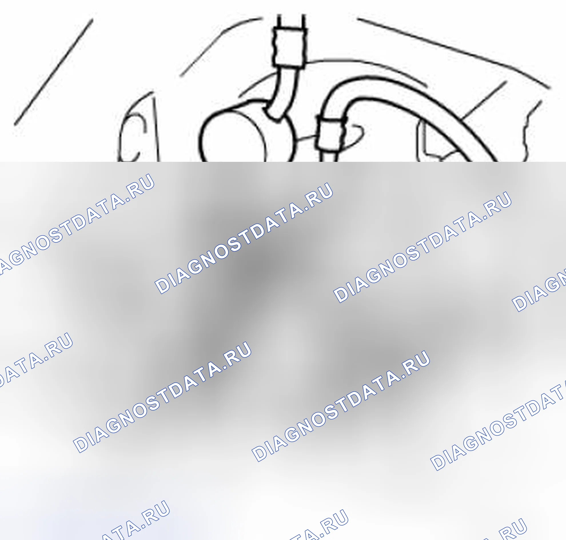 Рис. 165. Suzuki Grand Vitara II рестайлинг 2
