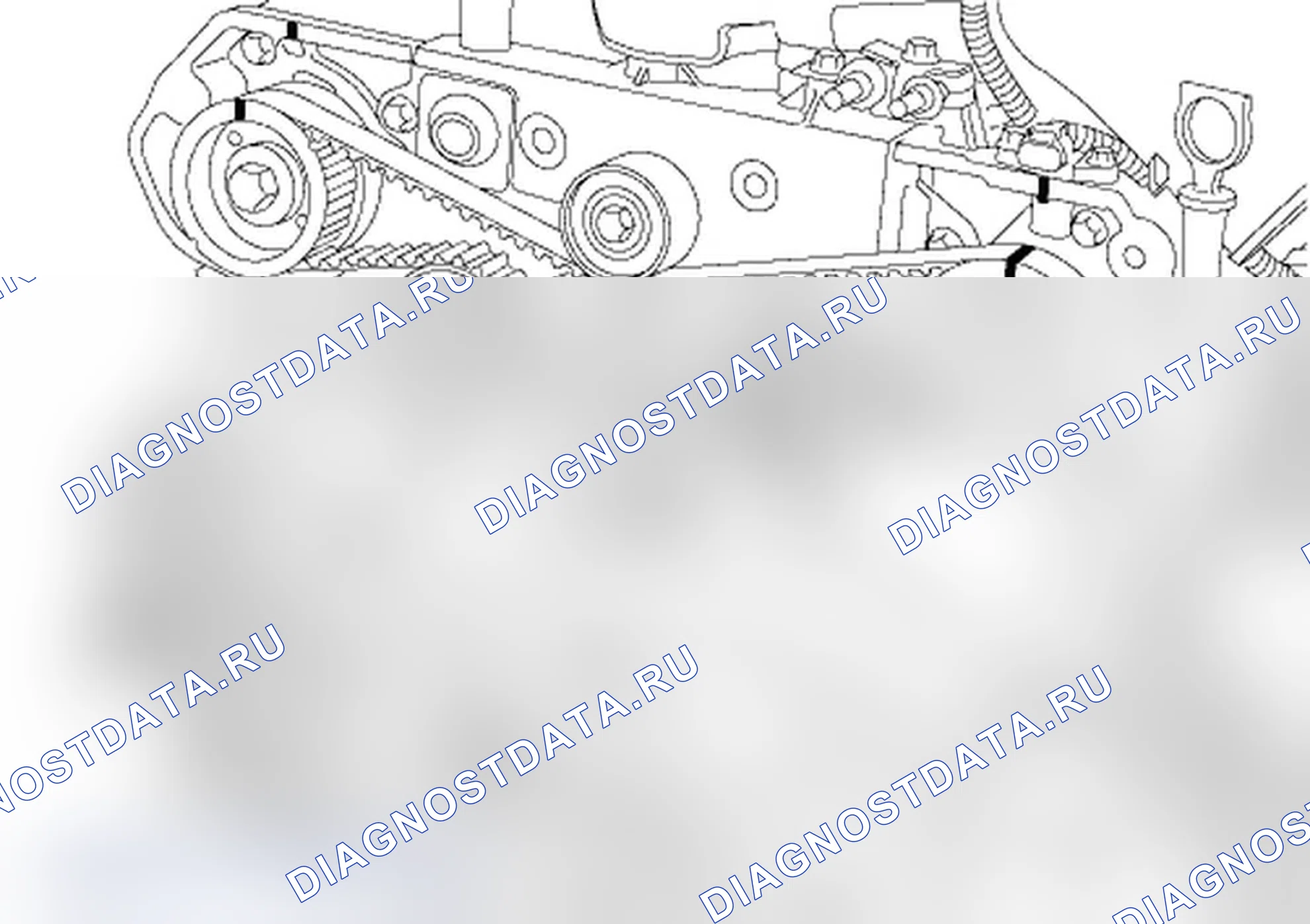 Тнвд. Renault Vel-Satis I