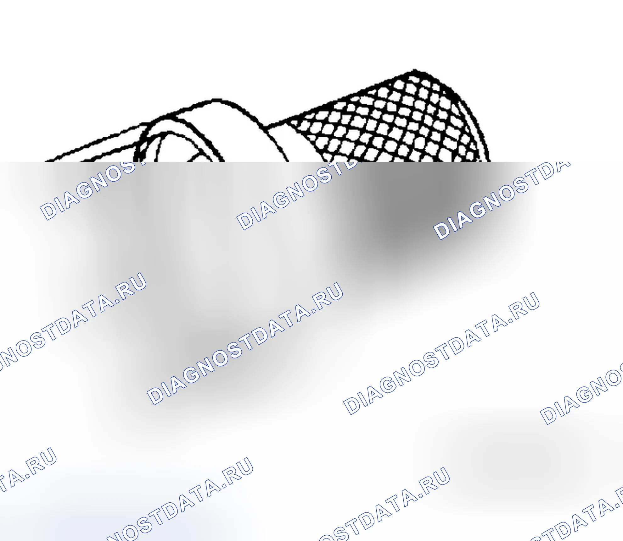Рис. 473: Специальные сервисные инструменты. Infiniti G35 III
