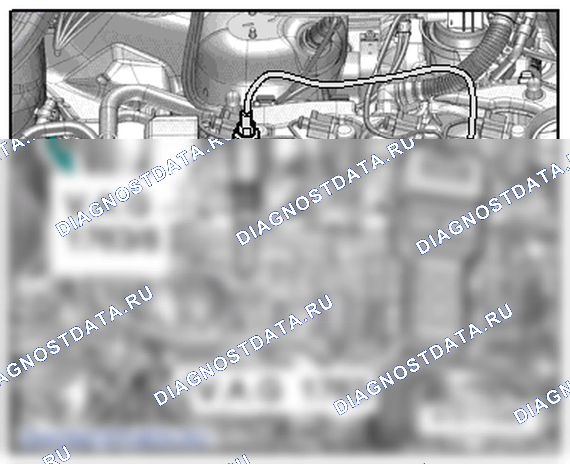 Головка блока цилиндров (4-цил. дизельный двигатель (1,6 л 4V, TDI Common Rail)). SEAT Leon Ii