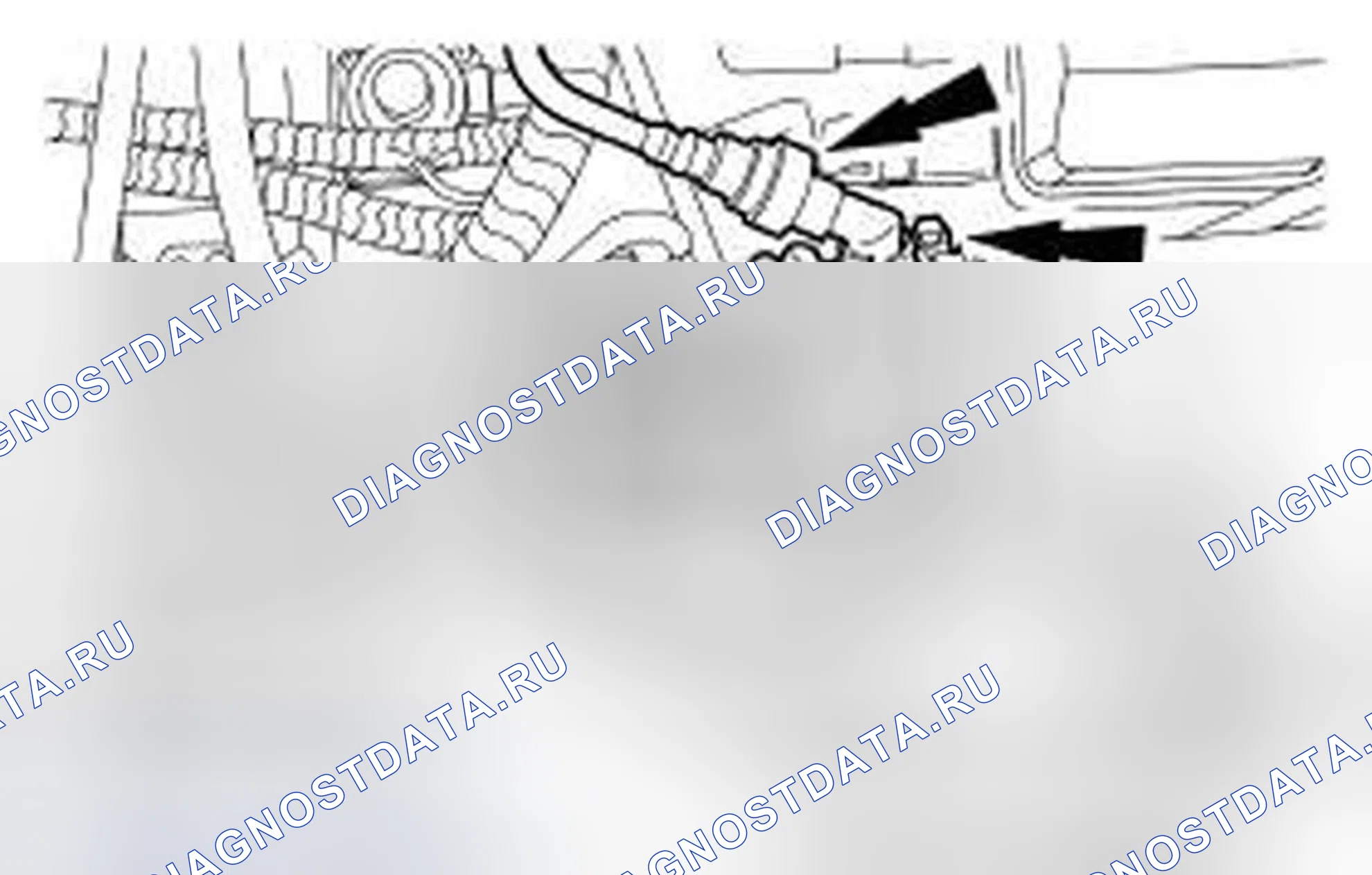 Рис. 2. Ford Focus II
