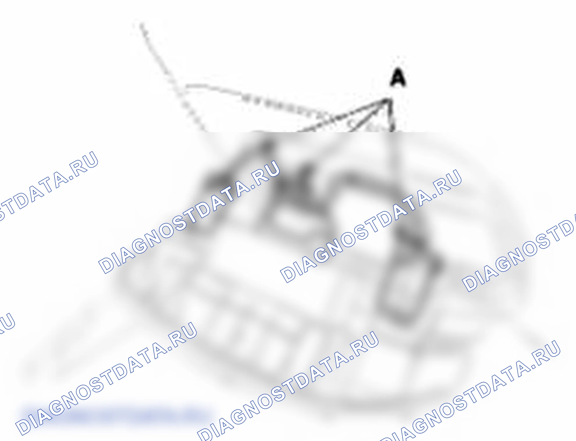 Рис. 3. Kia Soul I