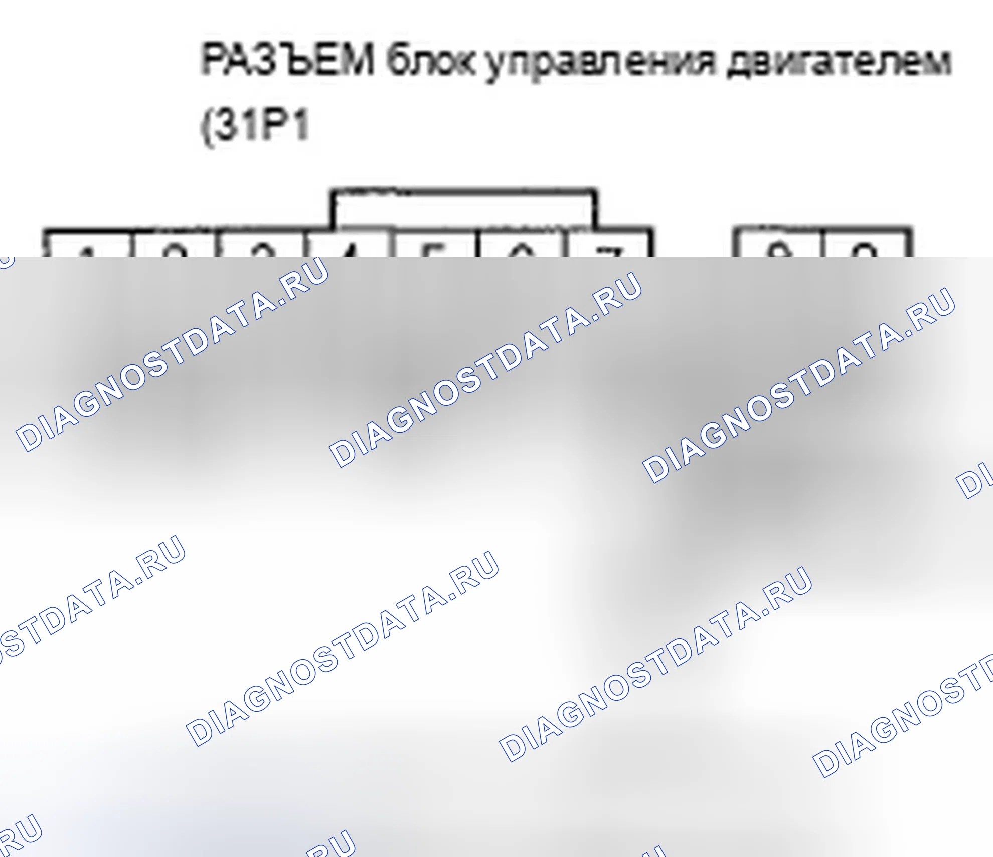 Рис. 184. Acura TSX I
