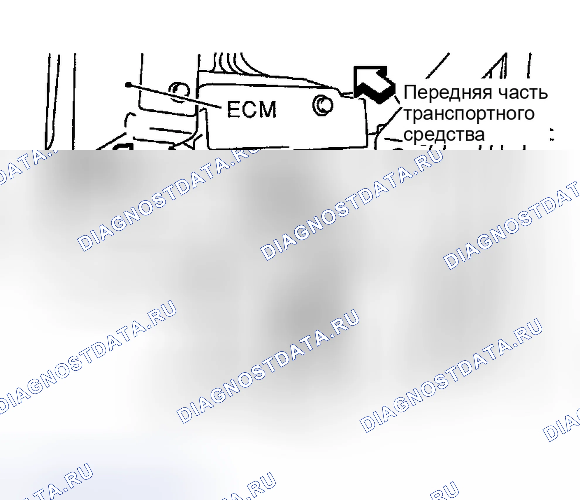 Рис. 343: Сторона пассажирского помещения. Nissan 350Z I
