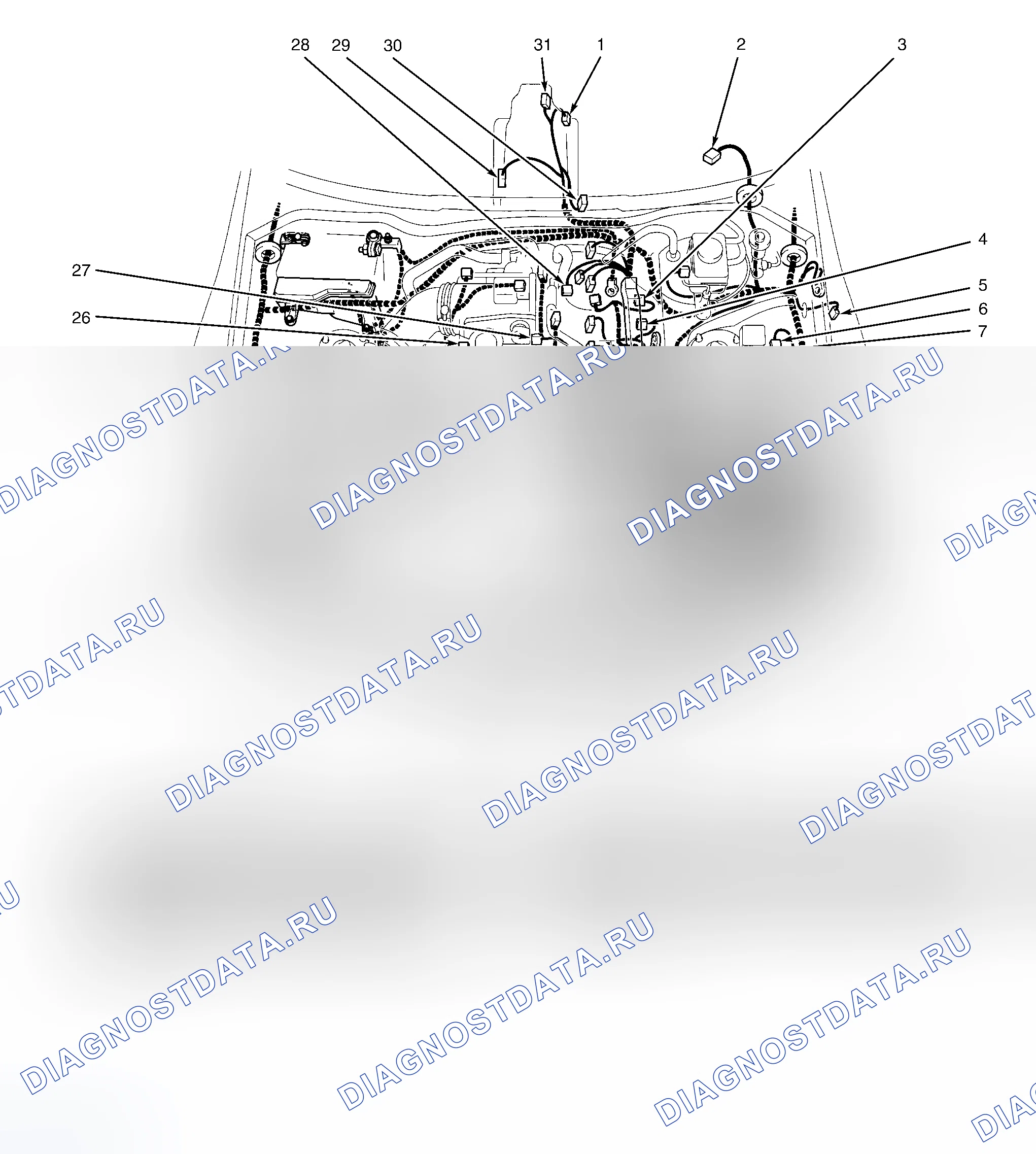 Рис. 2. Lexus IS I