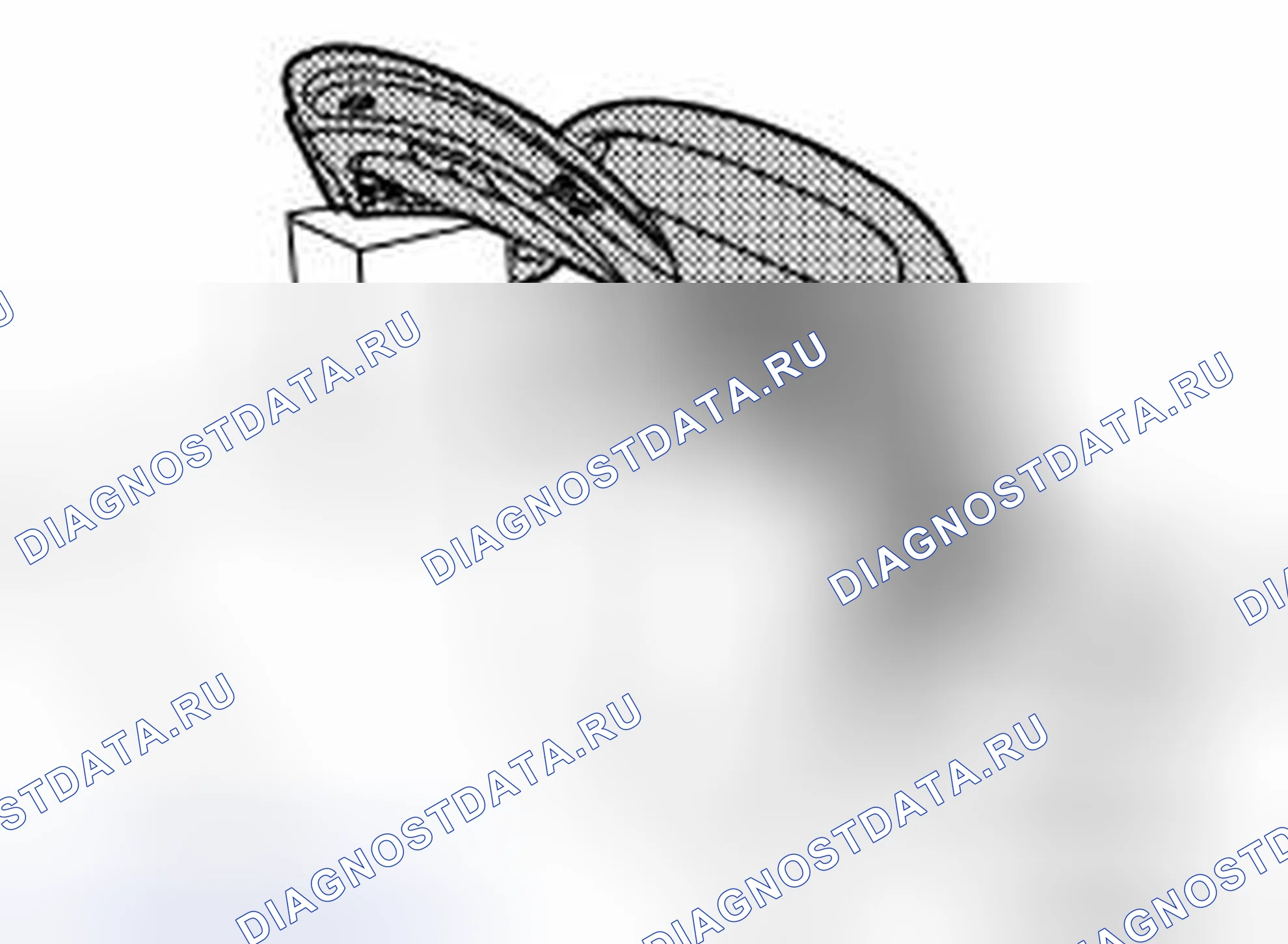 Рис. 211. Nissan 370Z I рестайлинг