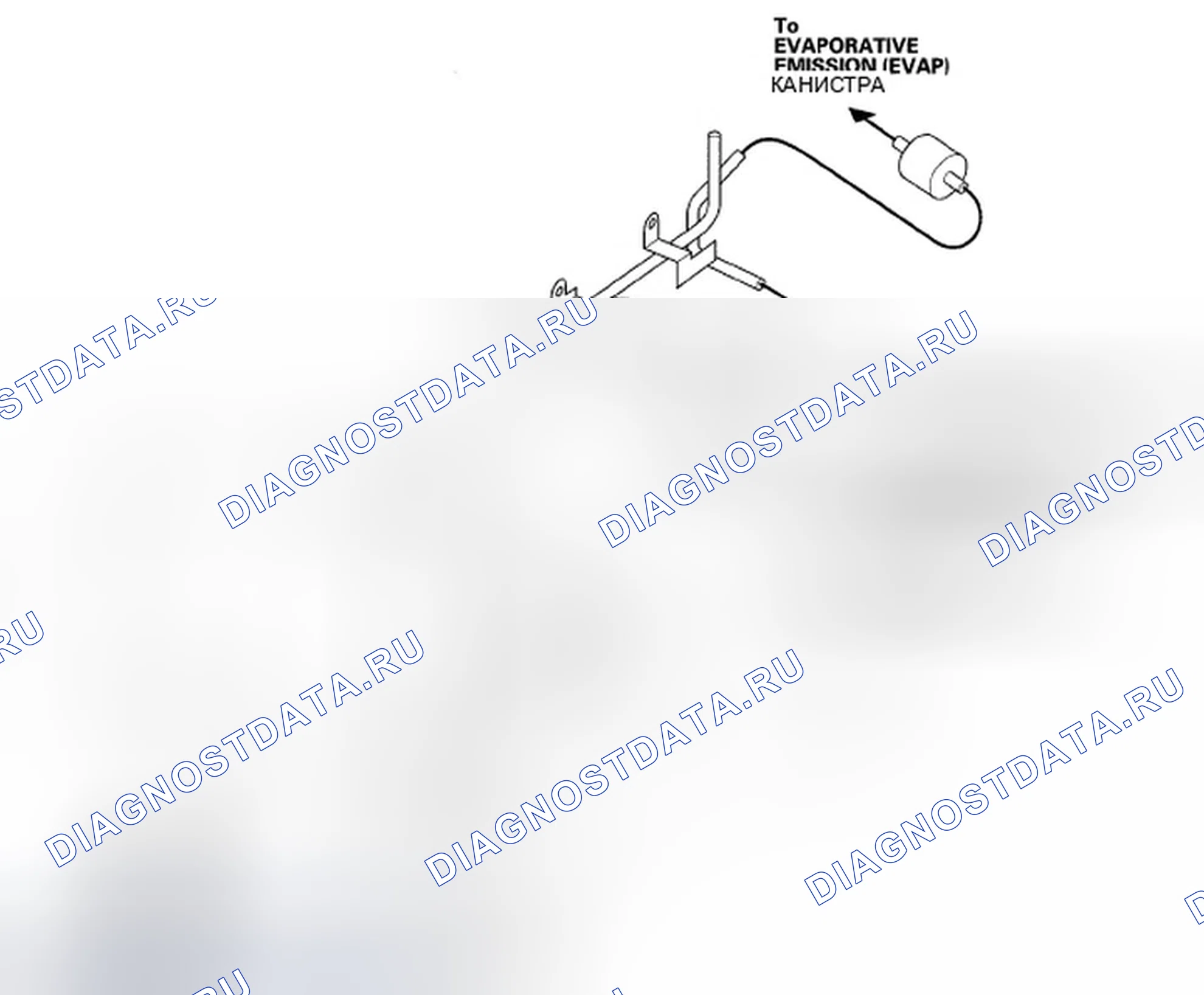 Рис. 211: Трассировка вакуумного шланга. Honda Element YH2 рестайлинг