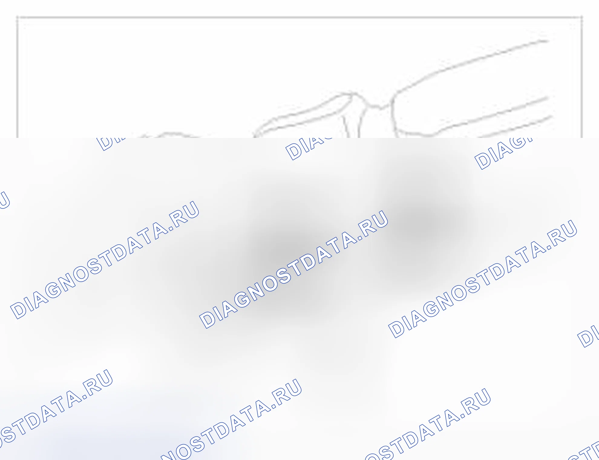 Рис. 54. BMW 6 серия F06/F13/F12