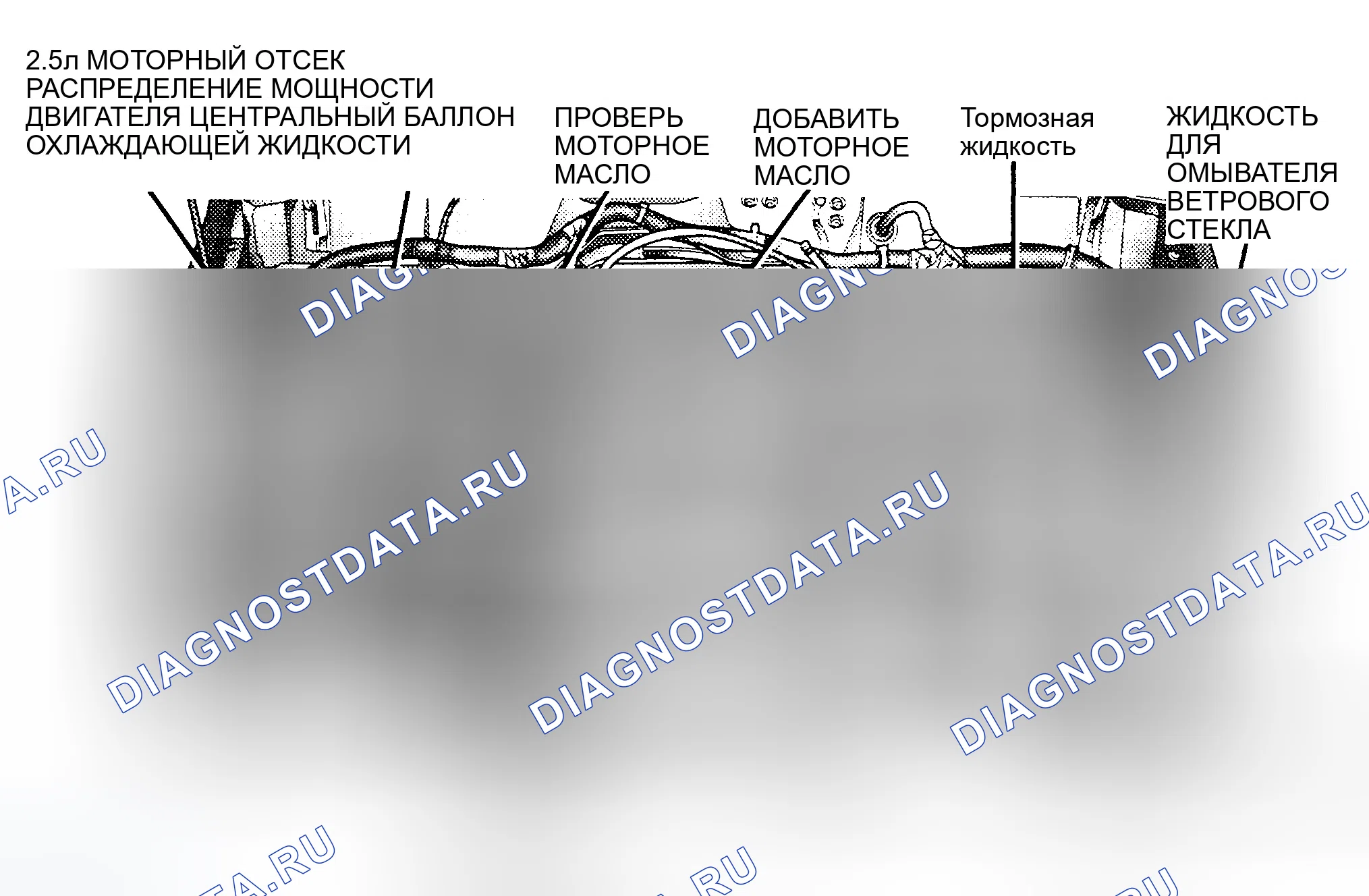 Рис. 4. Jeep Cherokee II рестайлинг
