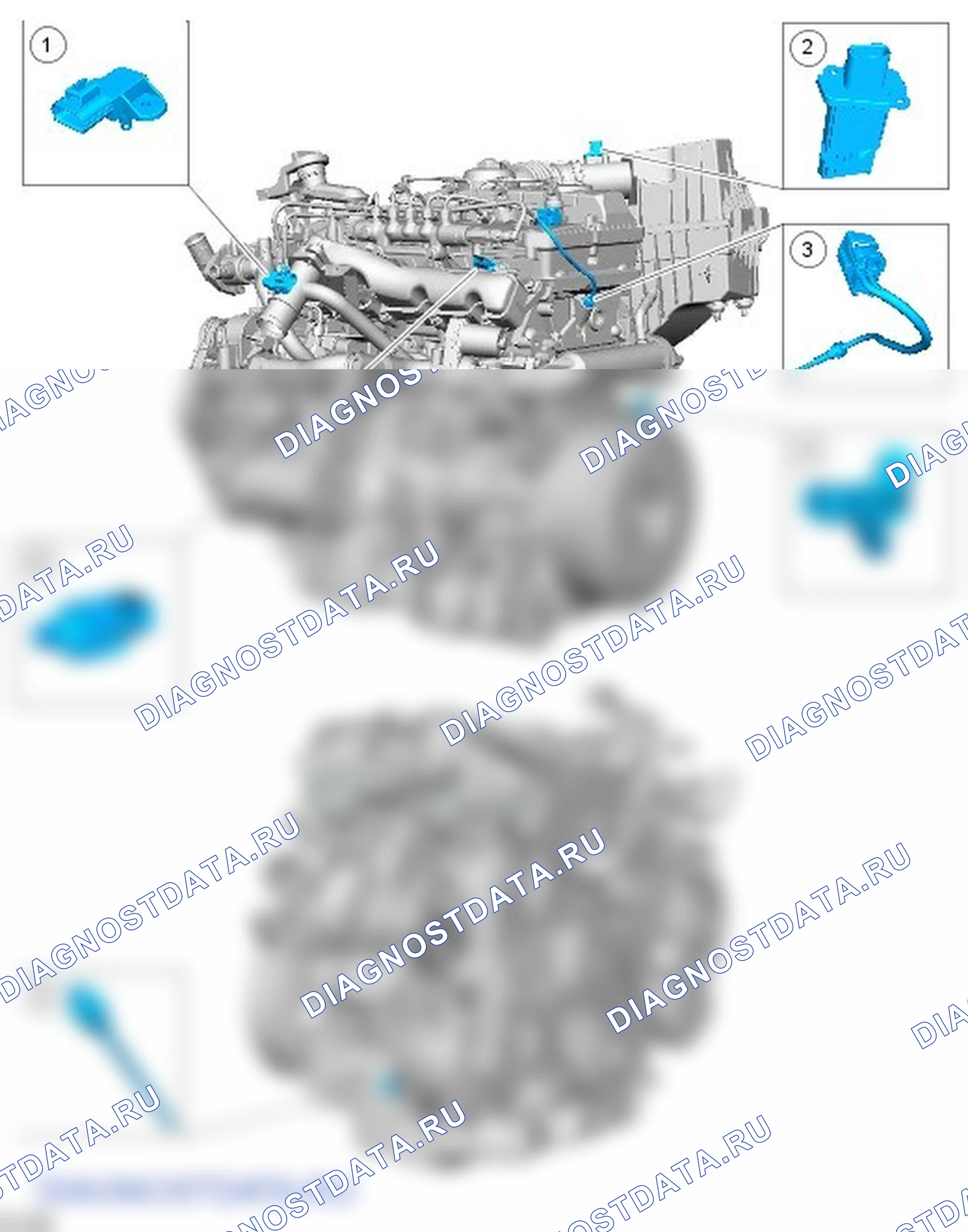 Электронные органы управления: описание и работа. Ford Transit VII