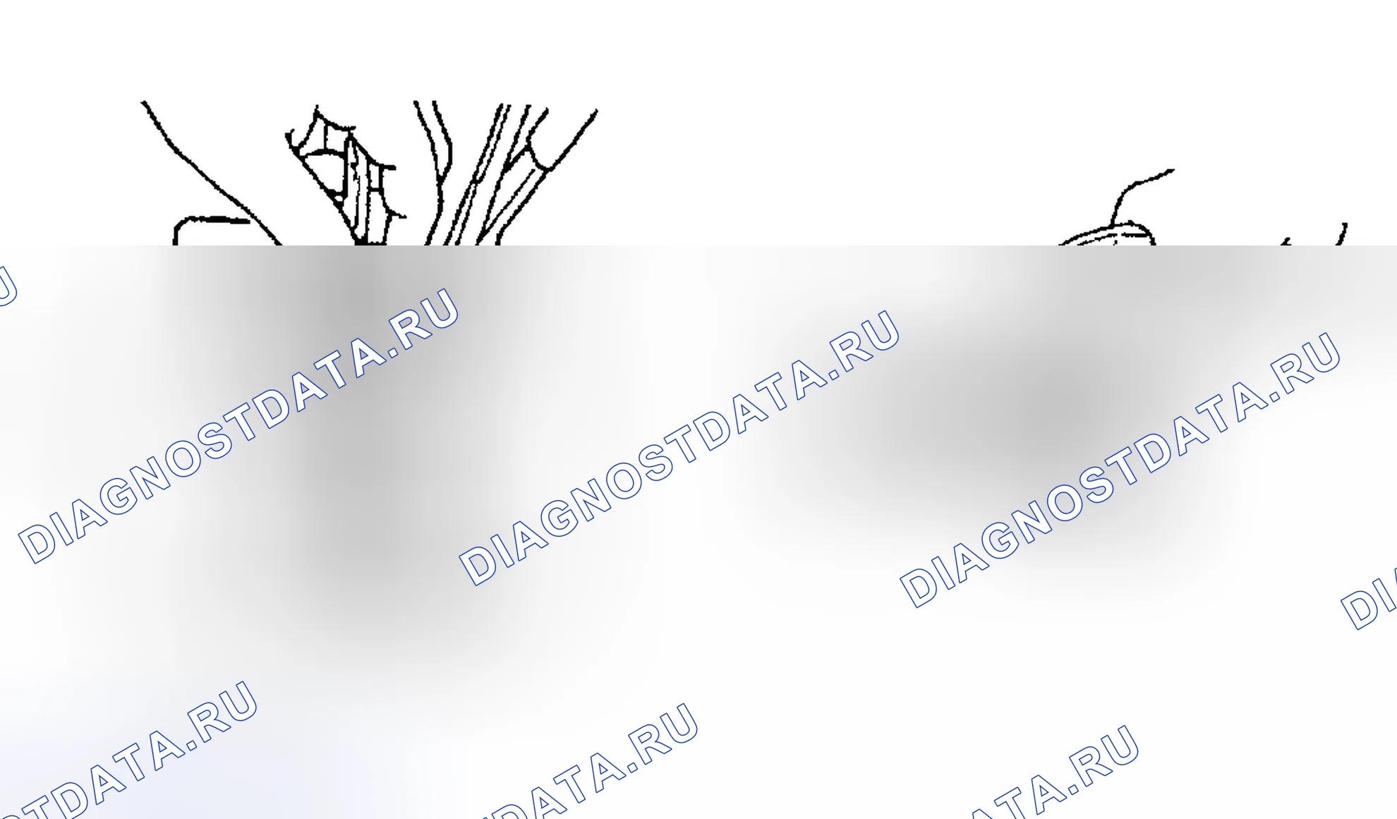 Рис. 11: Разборка. Suzuki Vitara I