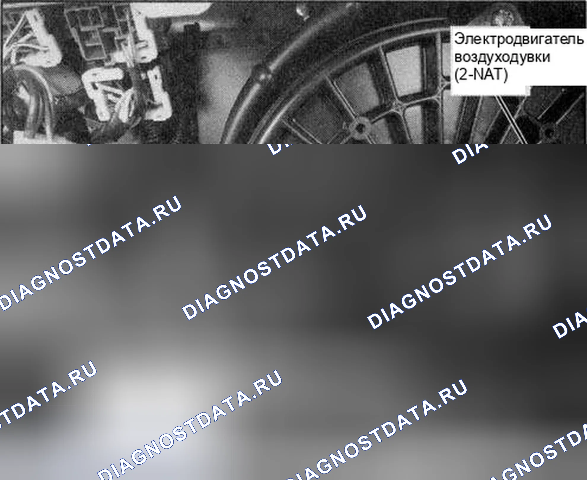 Рис. 48. Honda Element YH2 рестайлинг