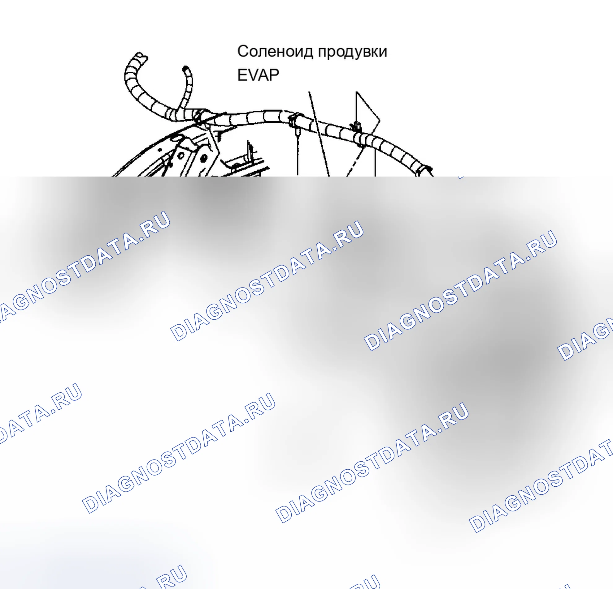 Рис. 43: Соленоид продувки канистры EVAP. Chevrolet Silverado 1500 HD 