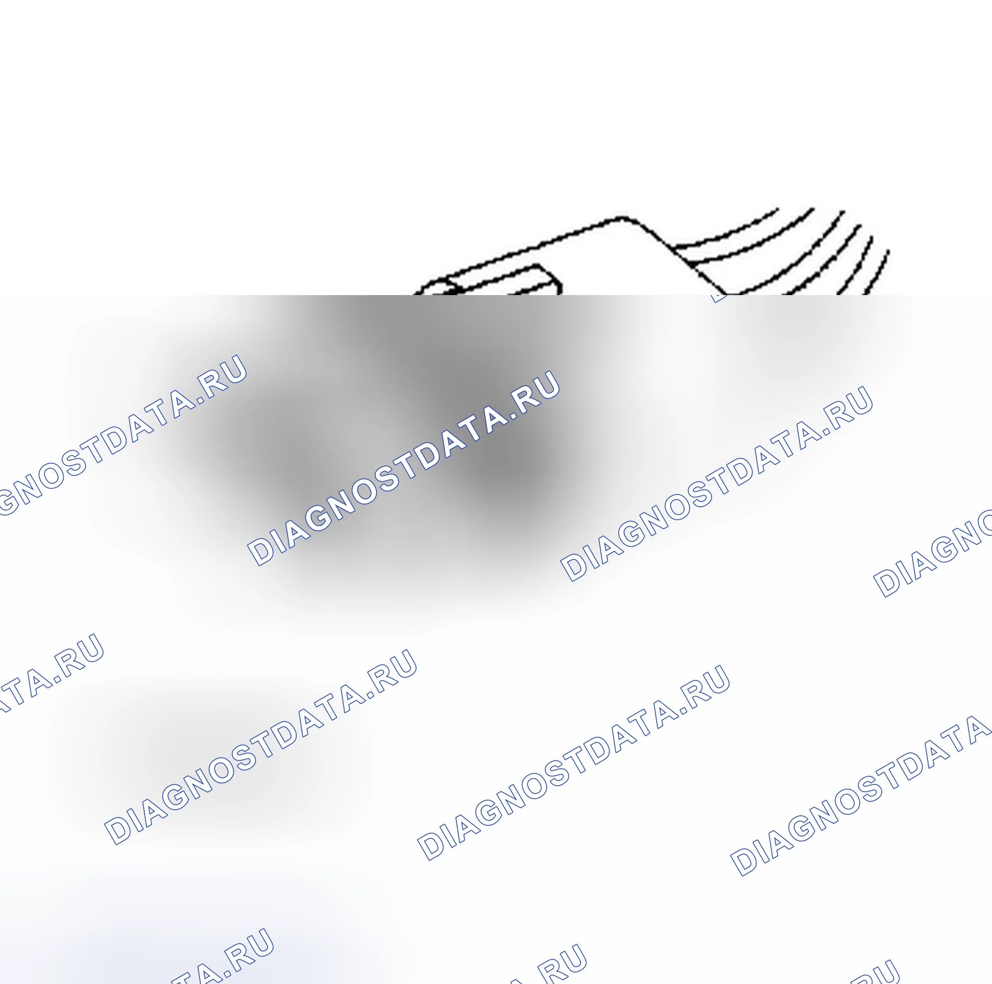 Рис. 17. Dodge Dakota WS 