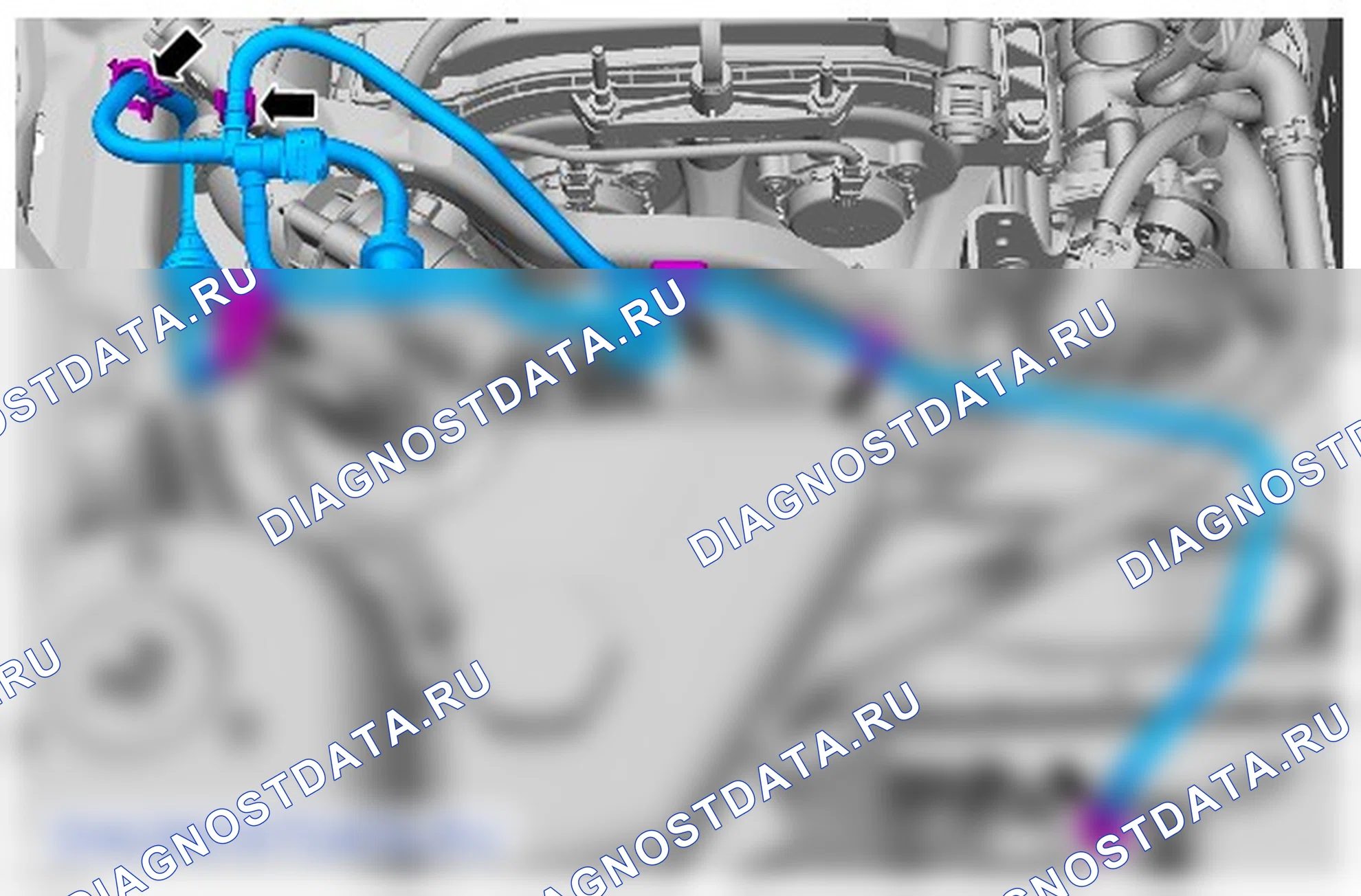 Как снять и установить крышку головки цилиндров. Ford EcoSport II
