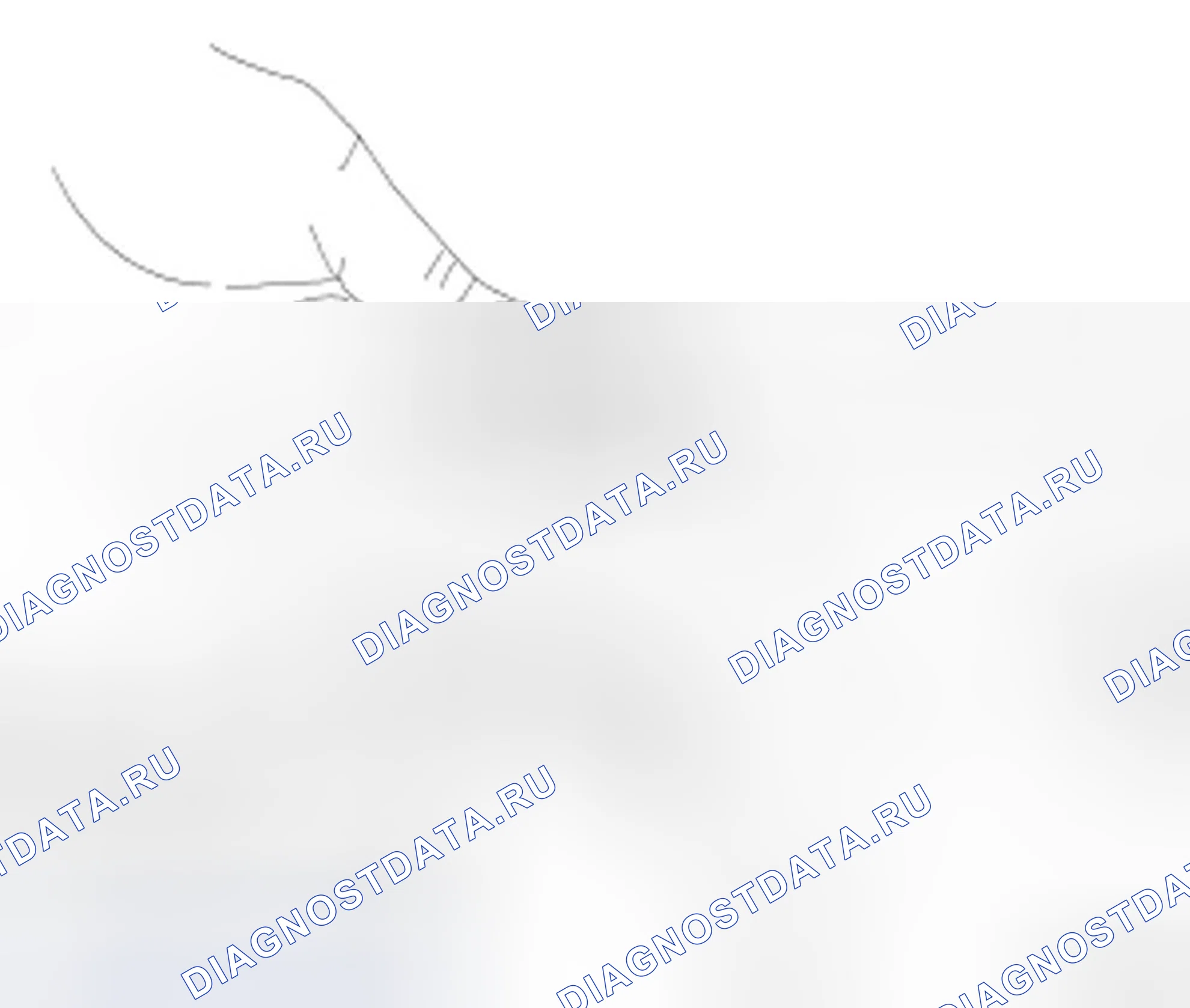 Рис. 22. Dodge Caliber I