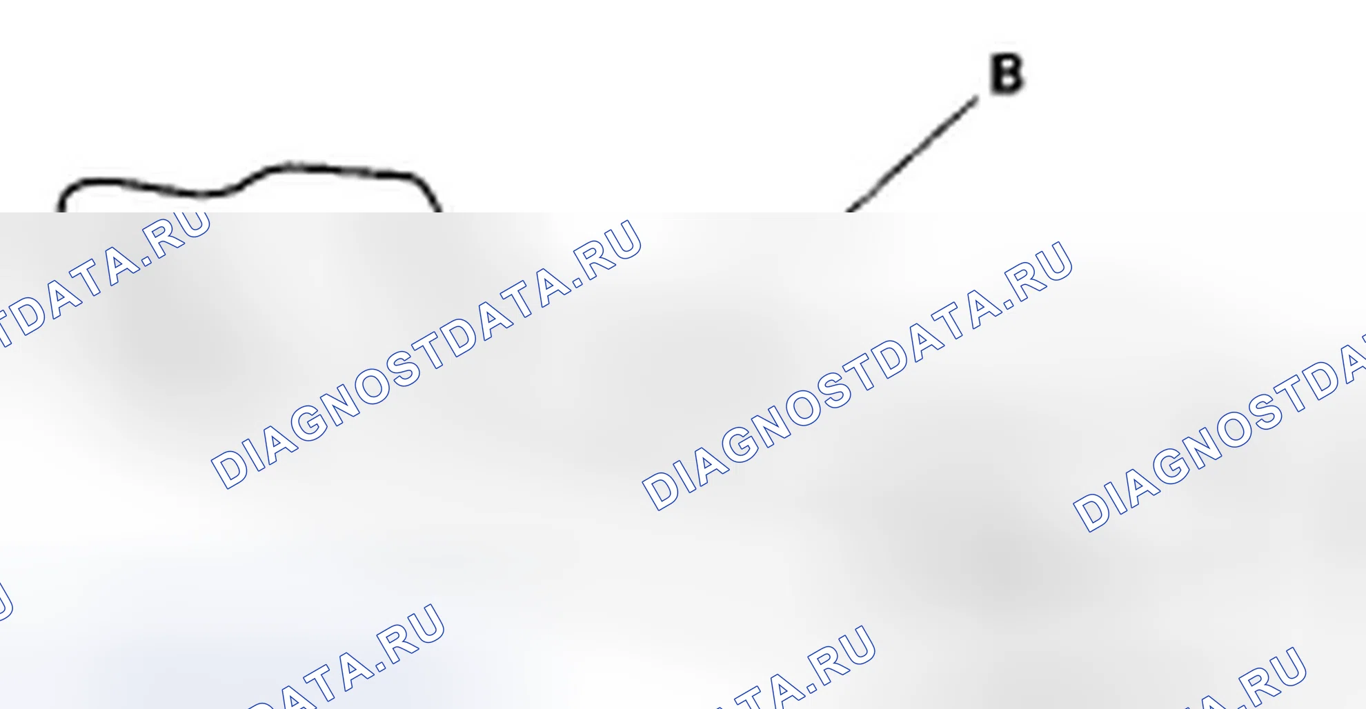 Рис. 53. Honda Element YH2 рестайлинг 2